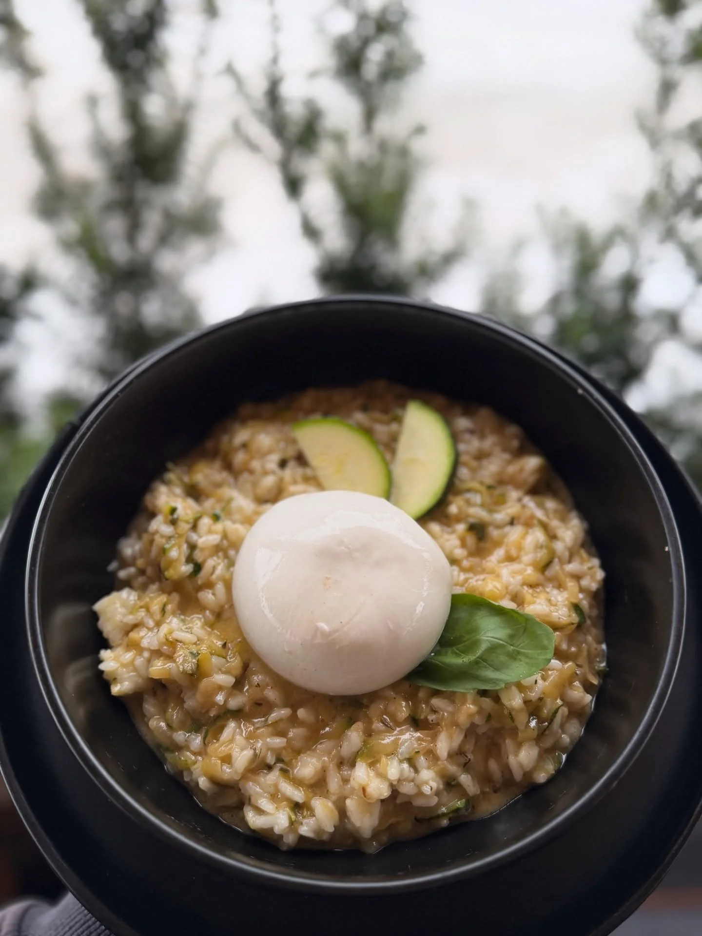 🥒 Cuketov&eacute; risotto s burratou

Rizoto z čerstvej cukety, jemn&aacute; burrata navrchu 🤍✨
Ľahk&eacute;, svieže a brut&aacute;lne dobr&eacute; 😋
Pr&iacute;ď ochutnať na&scaron;u novinku 💚

#minibar #risotto #burrata #zdravejedlo #kezmarok