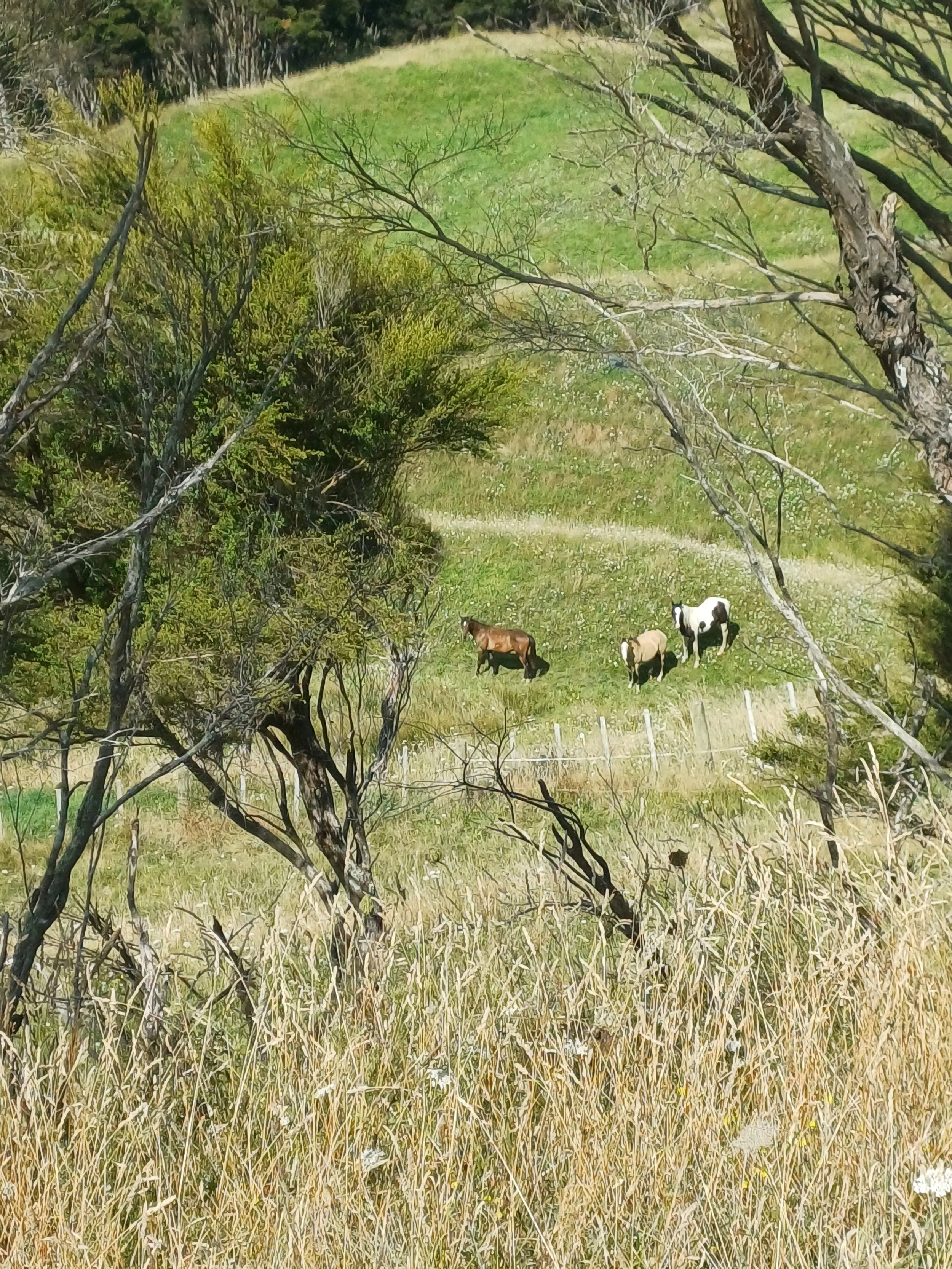 20260211_104546 (1).jpg