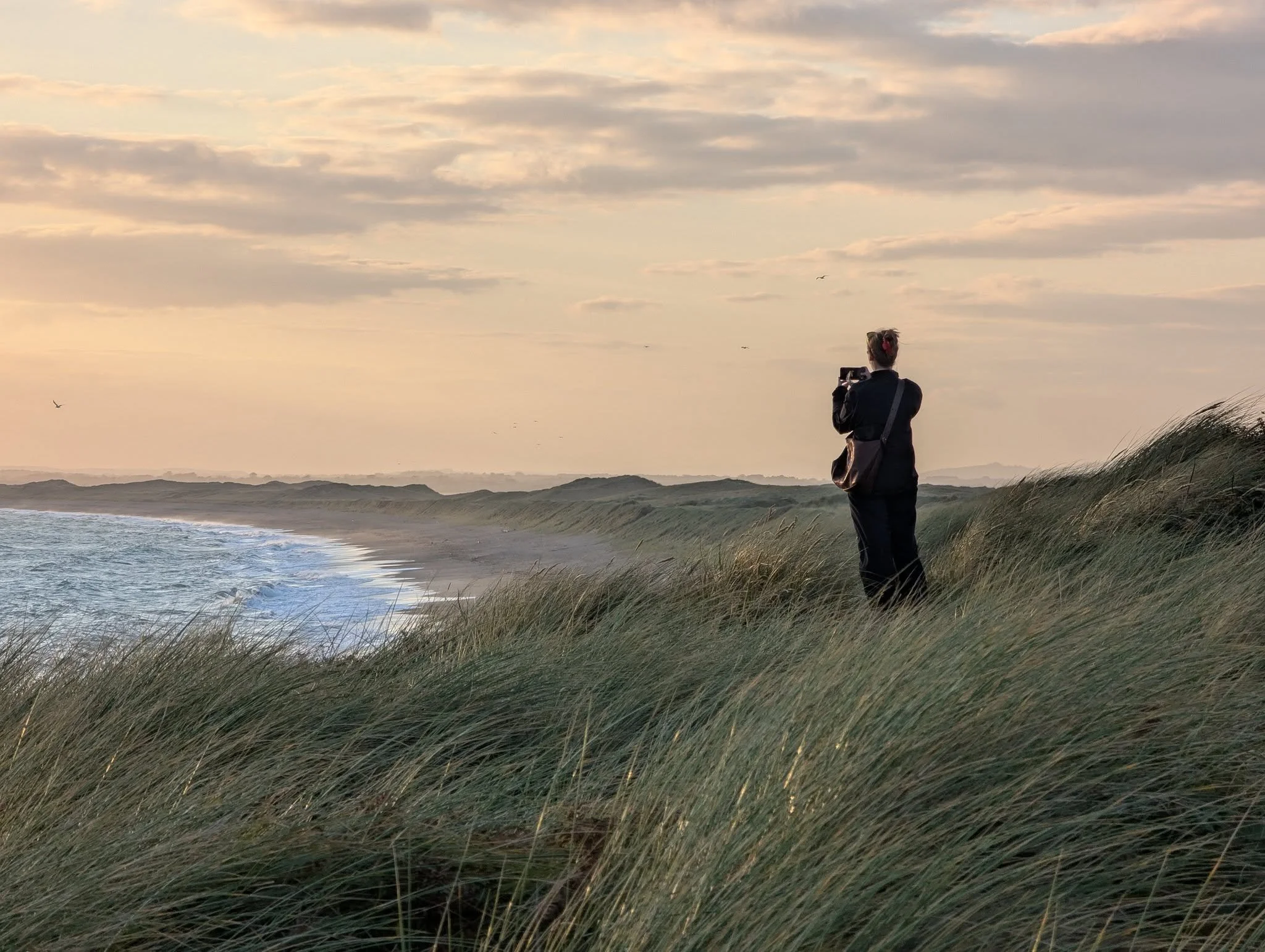 Surely one of our national treasures! #padraiggrantswexford
#wexfordcoast
Photo © Pádraig Grant