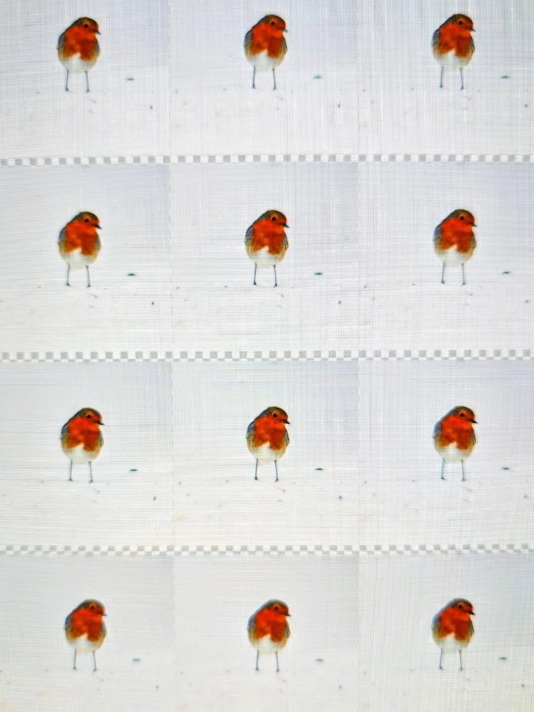 An Spideog 
The winged messenger of solace is creating its own wee stir at the gallery. I can say genuinely that people love this little guy!