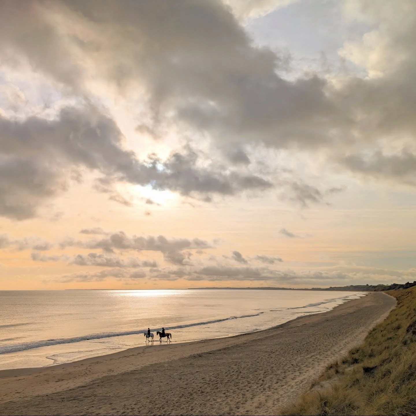 Horse riders on Ballynaclash beach this morning.
Photograph &copy; P&aacute;draig Grant 

#padraiggrantswexford #littoralphotography #wexfordcoast