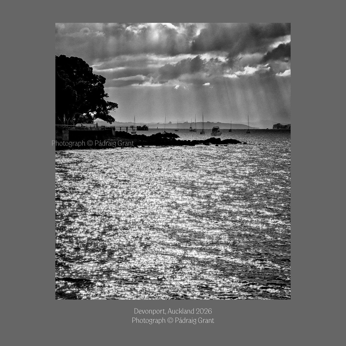 Devonport, Auckland
March 9th 2026

Do not share without credit &amp; tag:
Photograph &copy; P&aacute;draig Grant

#padraiggrantsauckland