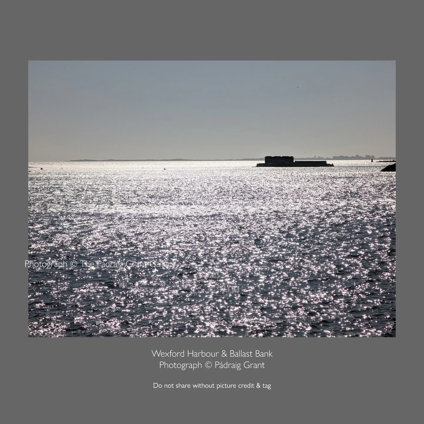 Wexford Harbour &amp; Ballast Bank
March 19th 2026

Do not share without picture credit &amp; tag:
Photograph &copy; P&aacute;draig Grant

#padraiggrantswexford