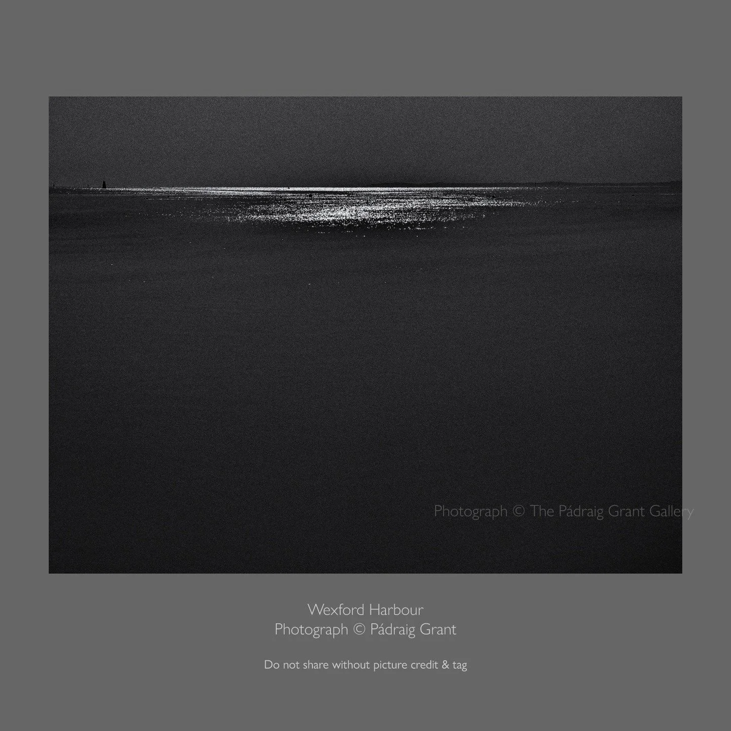 "What we have here, is a failure to"...reciprocate. A reciprocity failure. 

Wexford Harbour
March 20th 2026

Do not share without credit &amp; tag:
Photograph &copy; P&aacute;draig Grant
#padraiggrantswexford #reciprocityfailure
(In case y