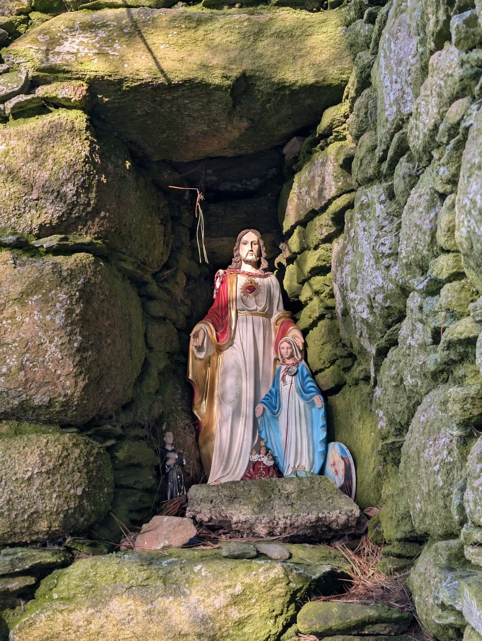 At Lady's Island Lake today...nice light! 

Shrine, not to scale with anything 
March 21st 2026

Do not share without credit &amp; tag:
Photograph &copy; P&aacute;draig Grant 
#padraiggrantswexford