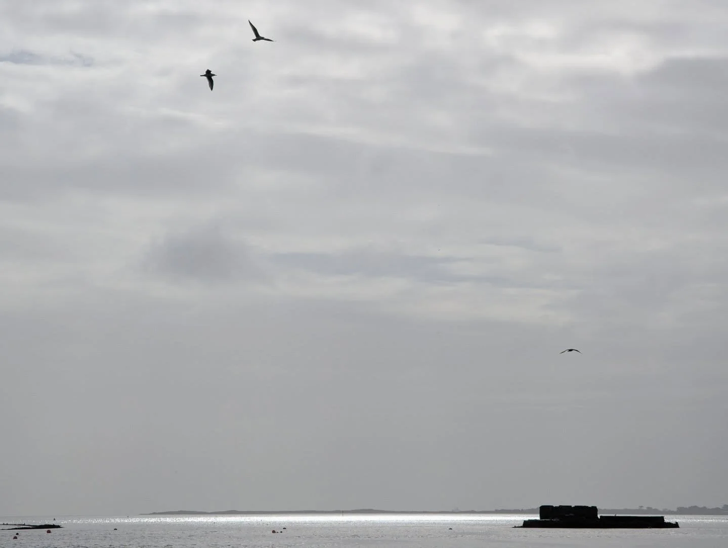 Wexford Harbour
March 27th 2026

Do not share without credit or tag:
Photograph &copy; P&aacute;draig Grant 

#padraiggrantswexford