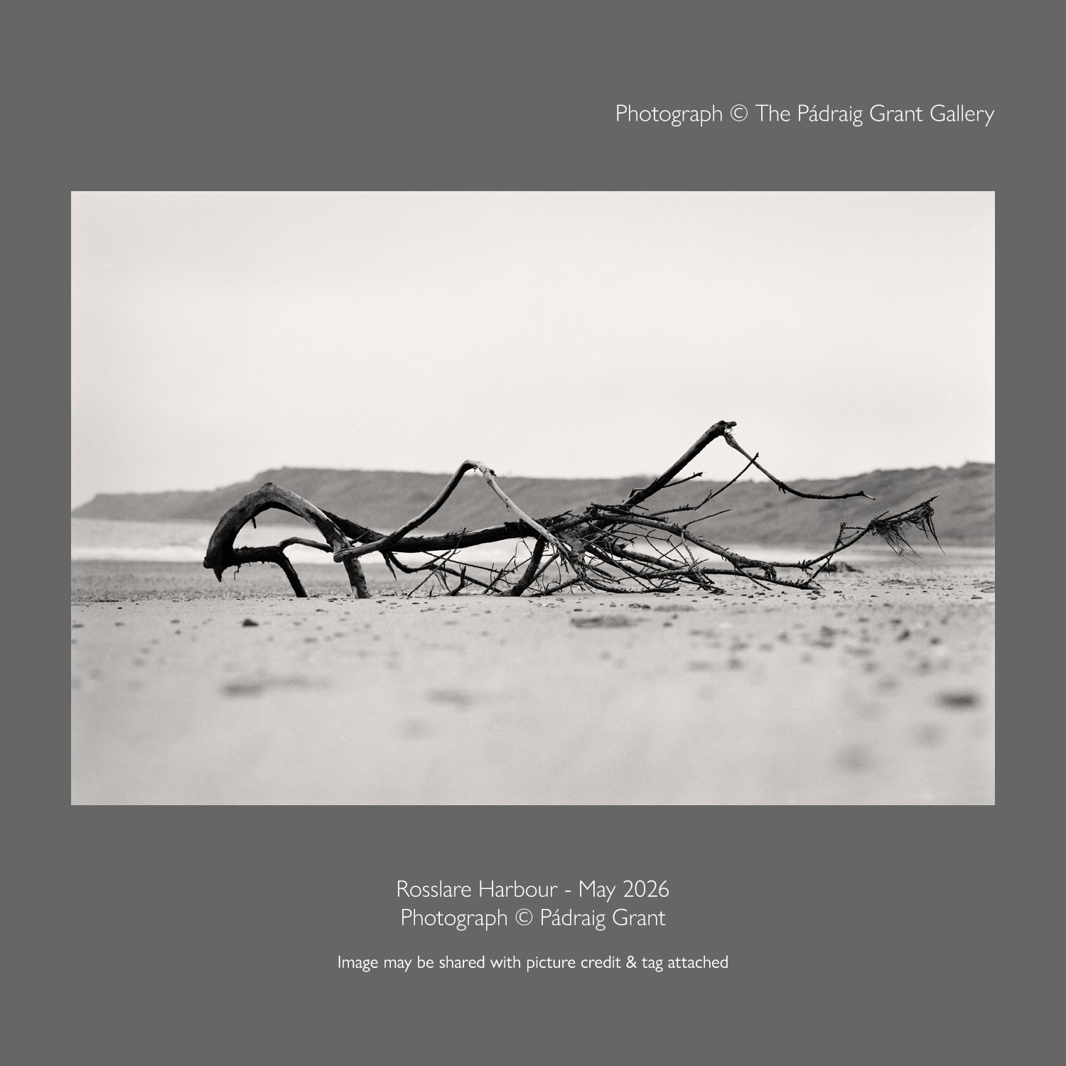 If I'm not lying on my stomach or atop the highest vantage point or positioned in the awkwardest possible place I'm probably not that into what I'm photographing. 

Lying on the beach at Rosslare Harbour
May 2026

Photograph &copy; P&aacute;draig Gra