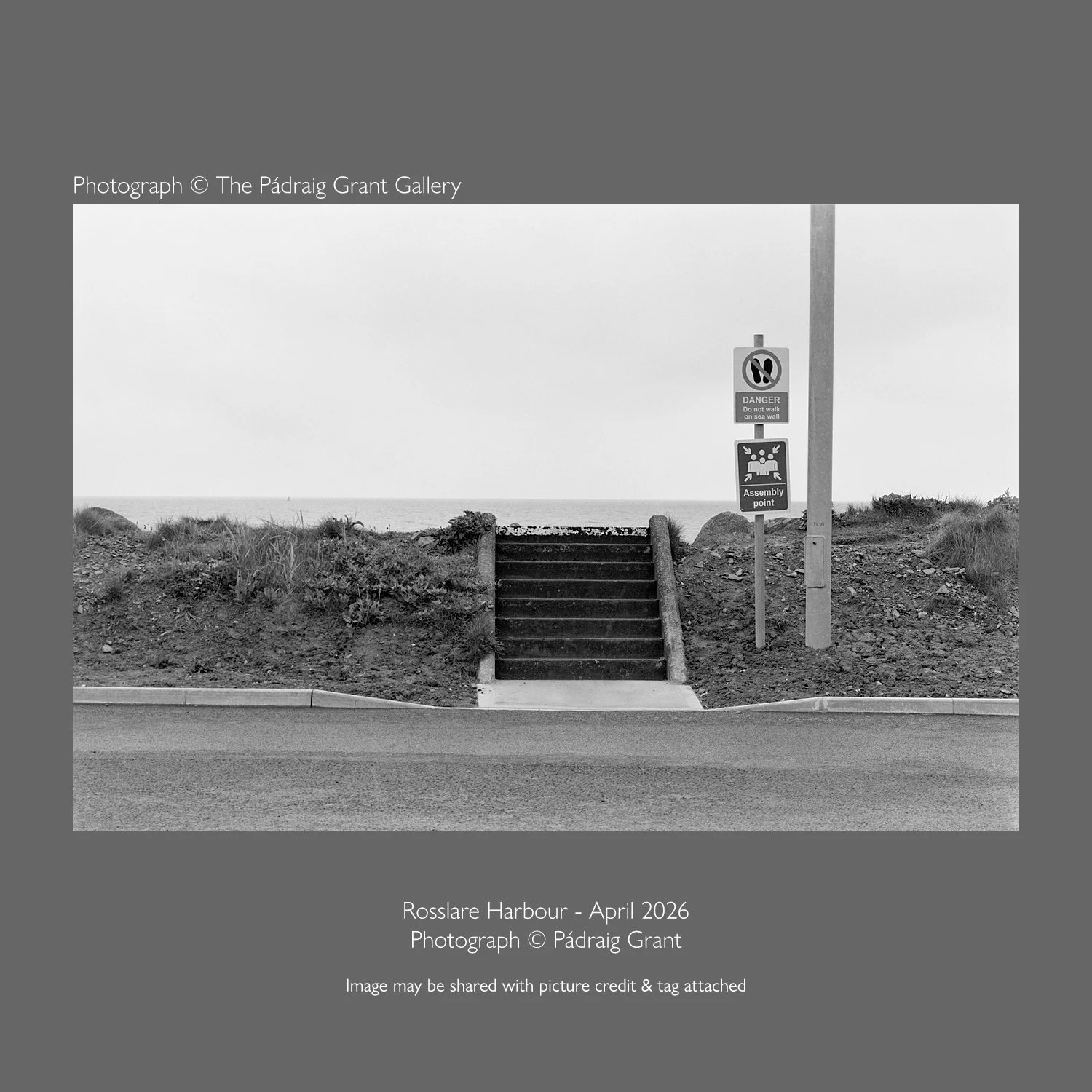 Don't use this perfectly attractive set of steps! Dilemma!

Rosslare Harbour - April 2026
Photograph &copy; P&aacute;draig Grant

Image may be shared with picture credit &amp; tag attached