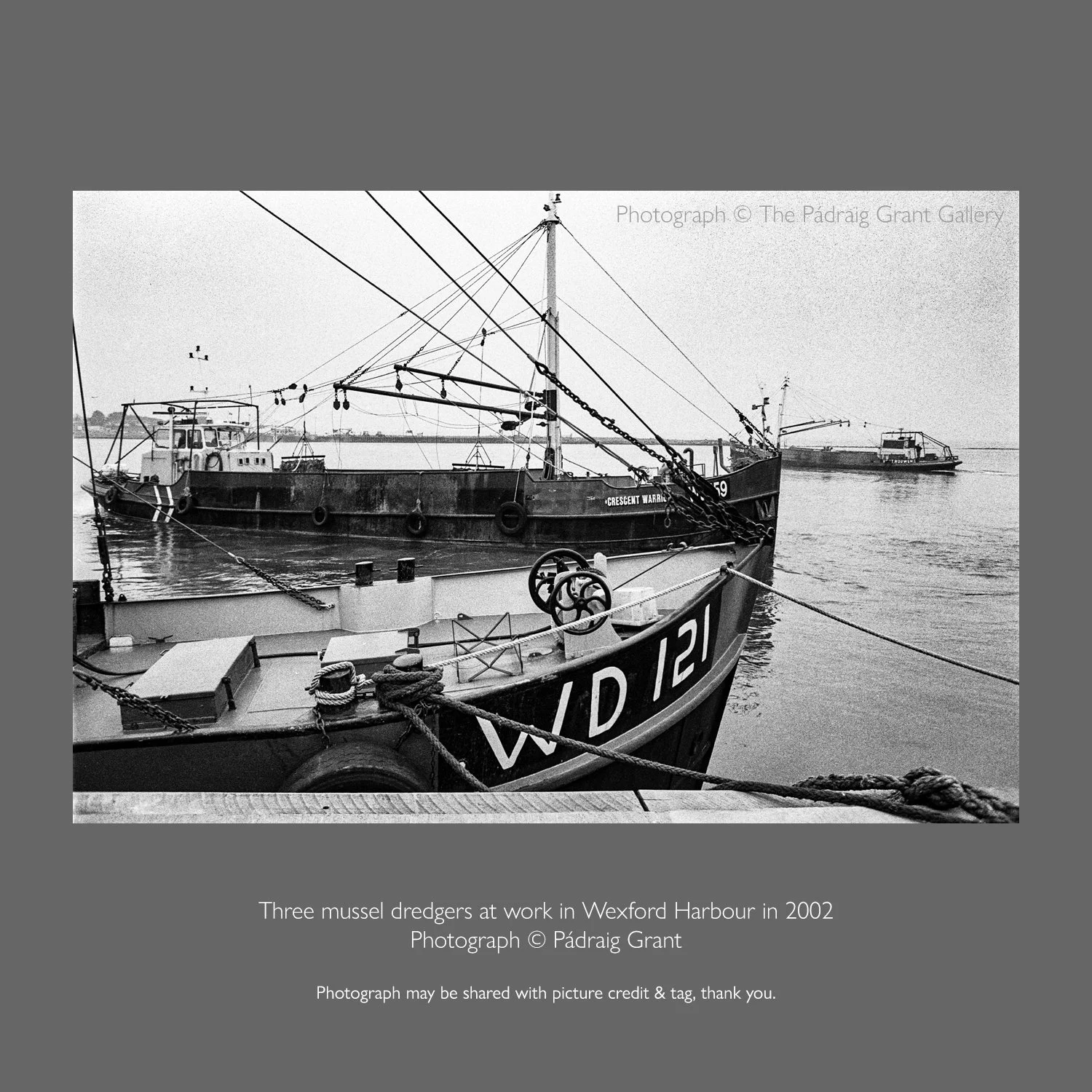Three mussel dredgers at work in Wexford Harbour. 2002

Photo may be shared if picture credit and tag are attached. 
Photograph &copy; P&aacute;draig Grant
#padraiggrantswexford