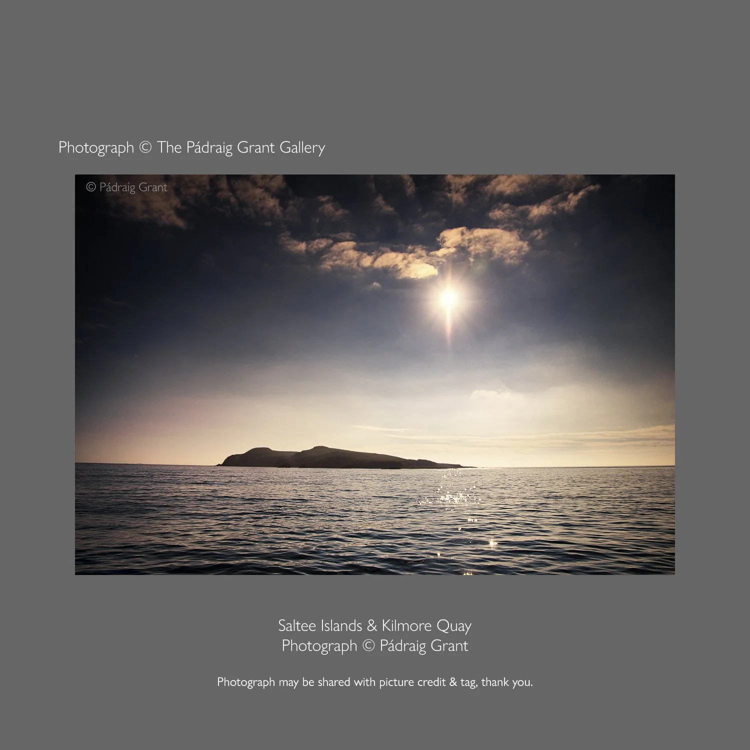 Saltee Islands 2