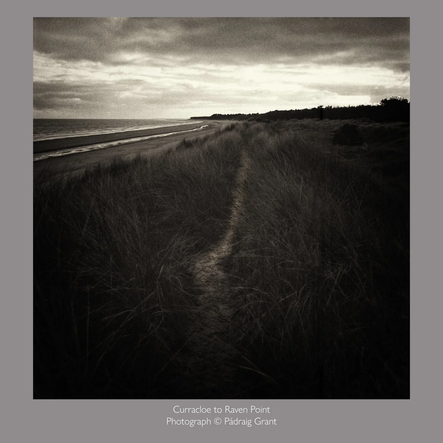 Curracloe to Raven Point 2