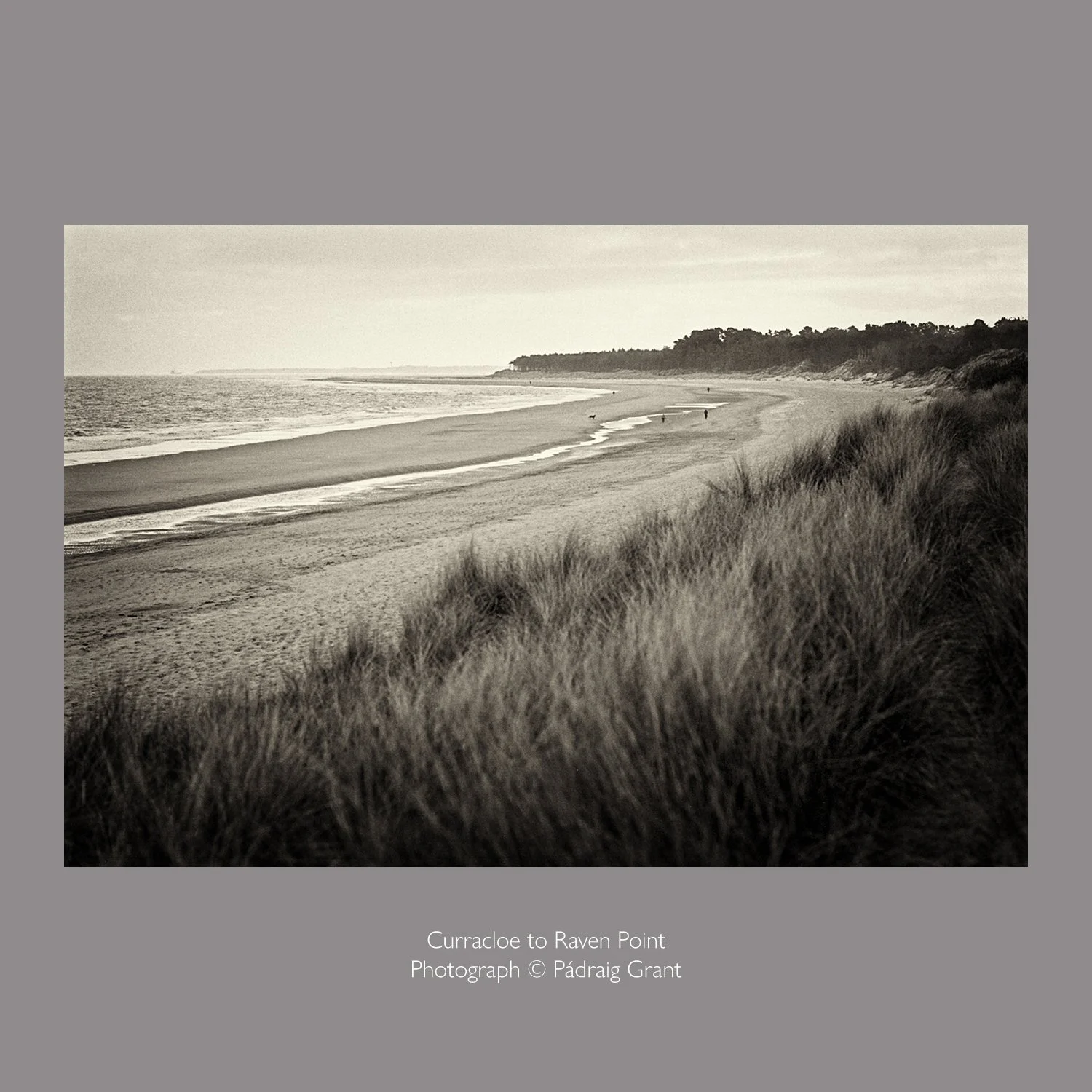 Curracloe to Raven Point 1