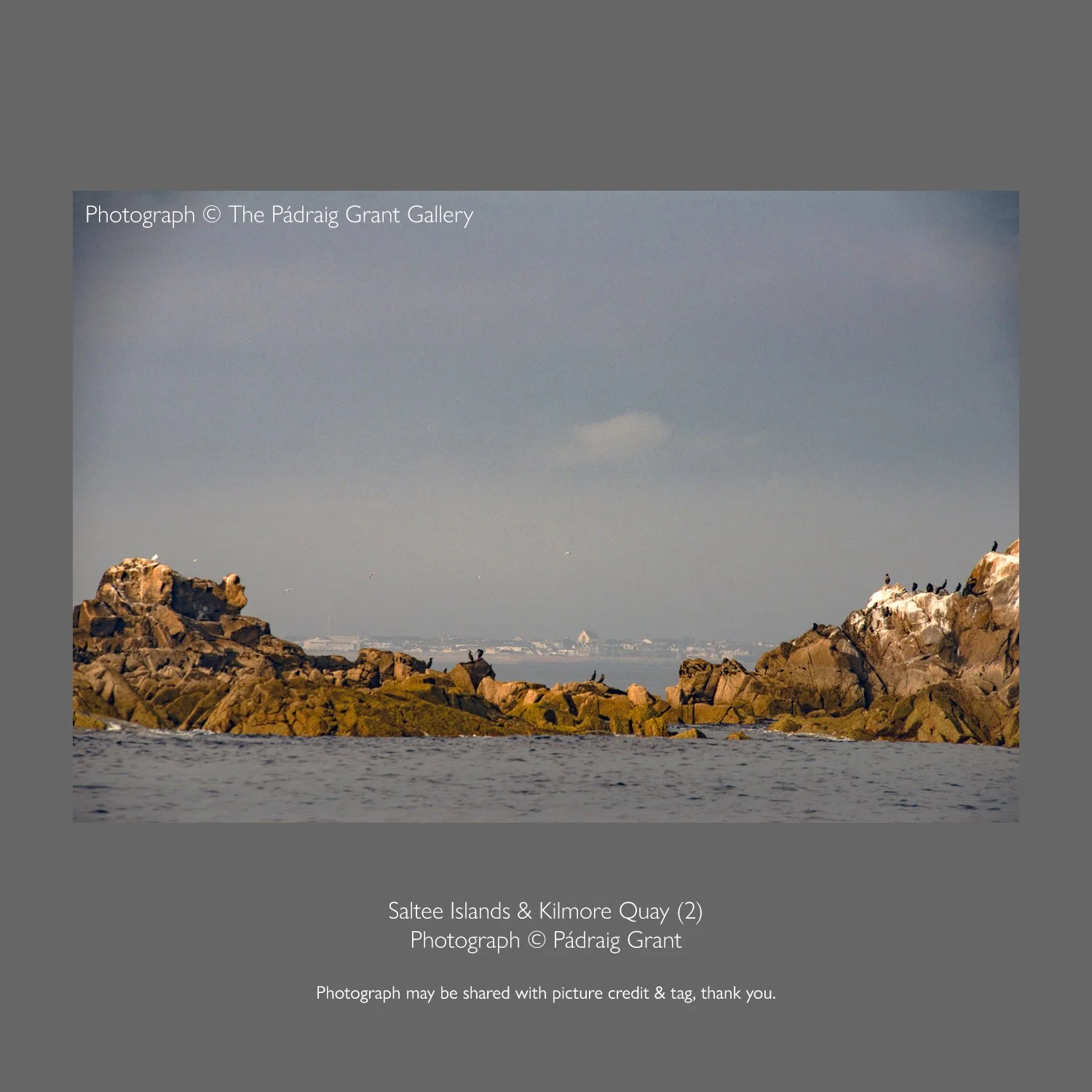 Kilmore Quay from the Saltee Islands 2