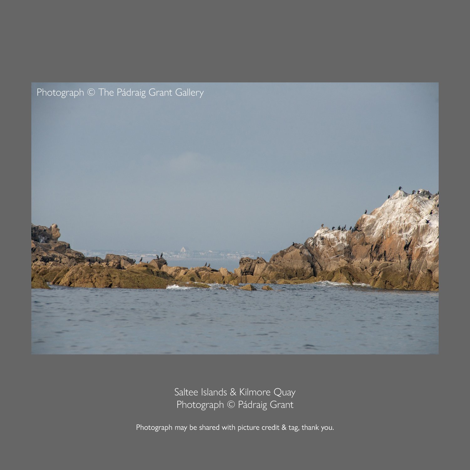Kilmore Quay from the Saltee Islands 1