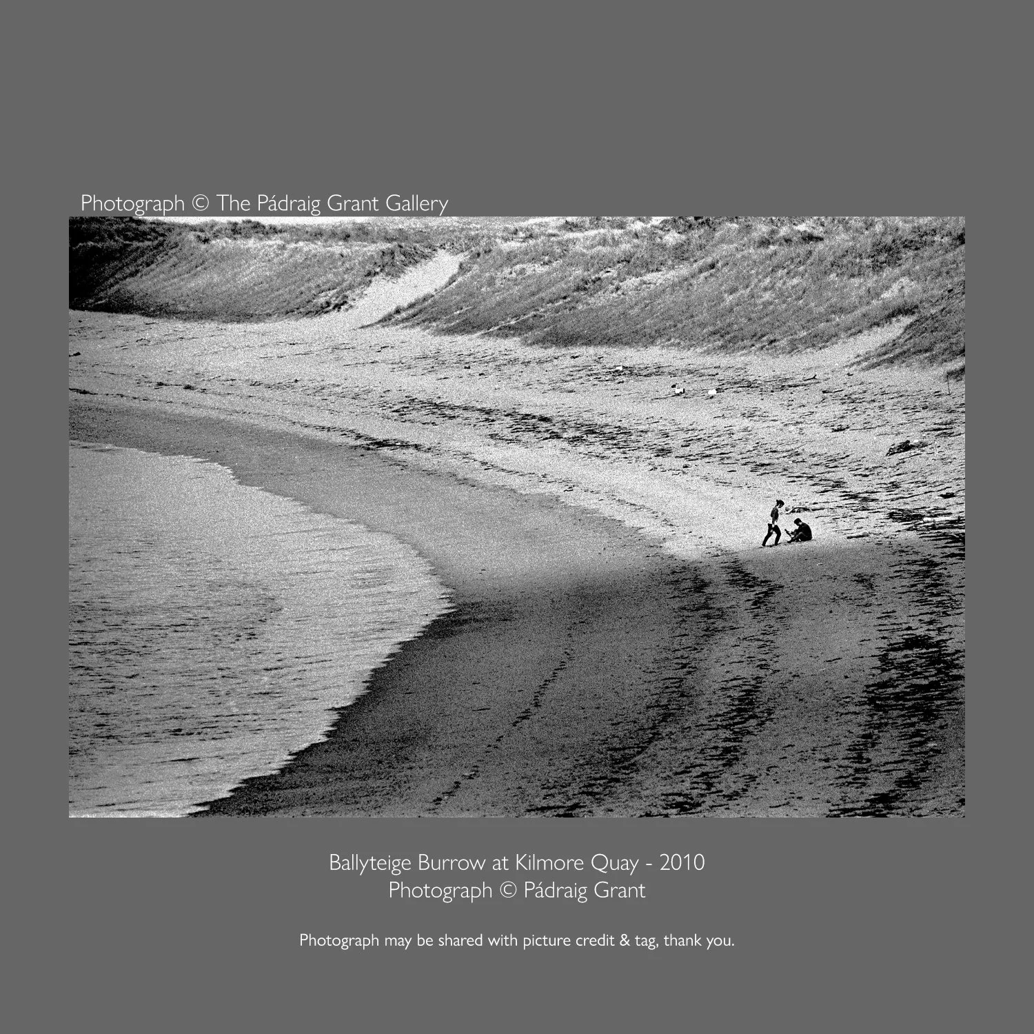 Two at Ballyteige Burrow