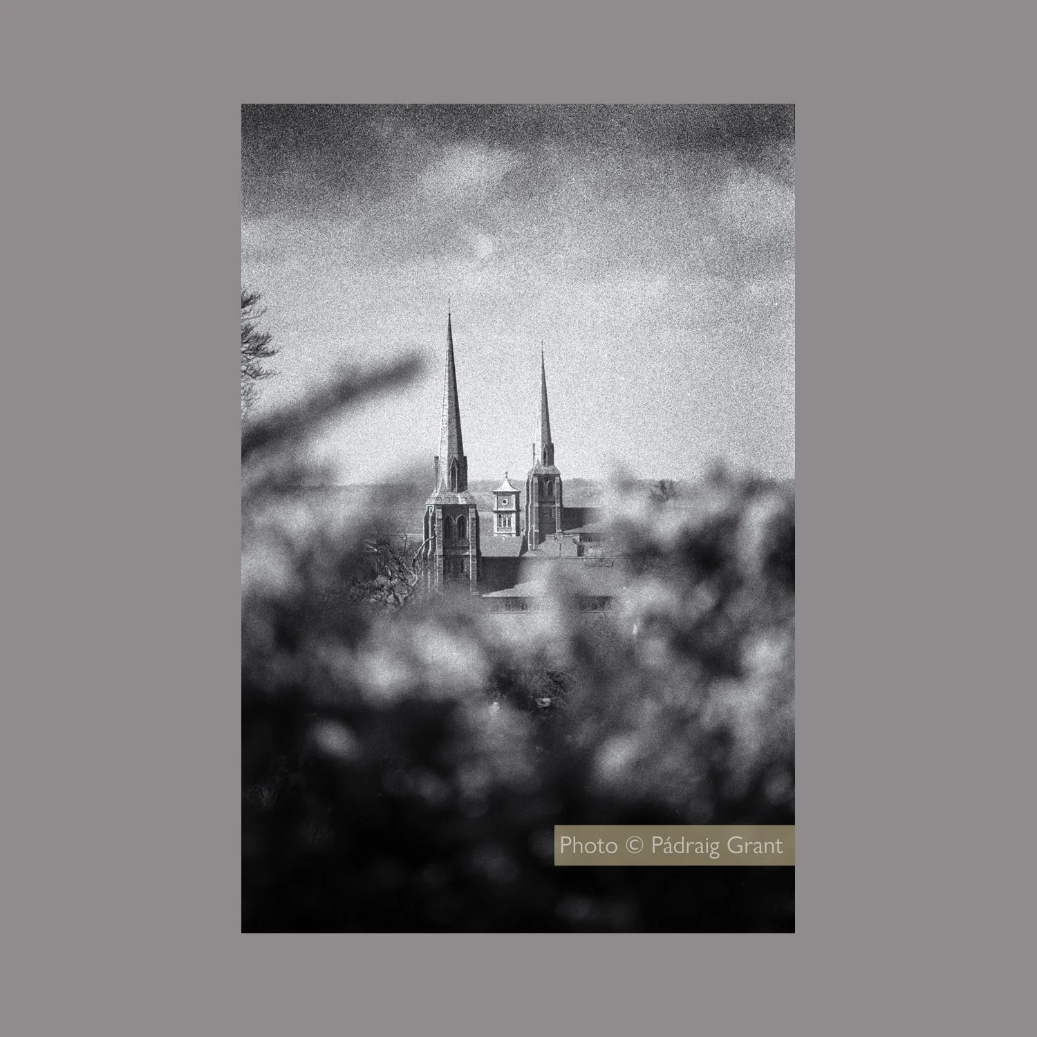 Three Spires of Wexford