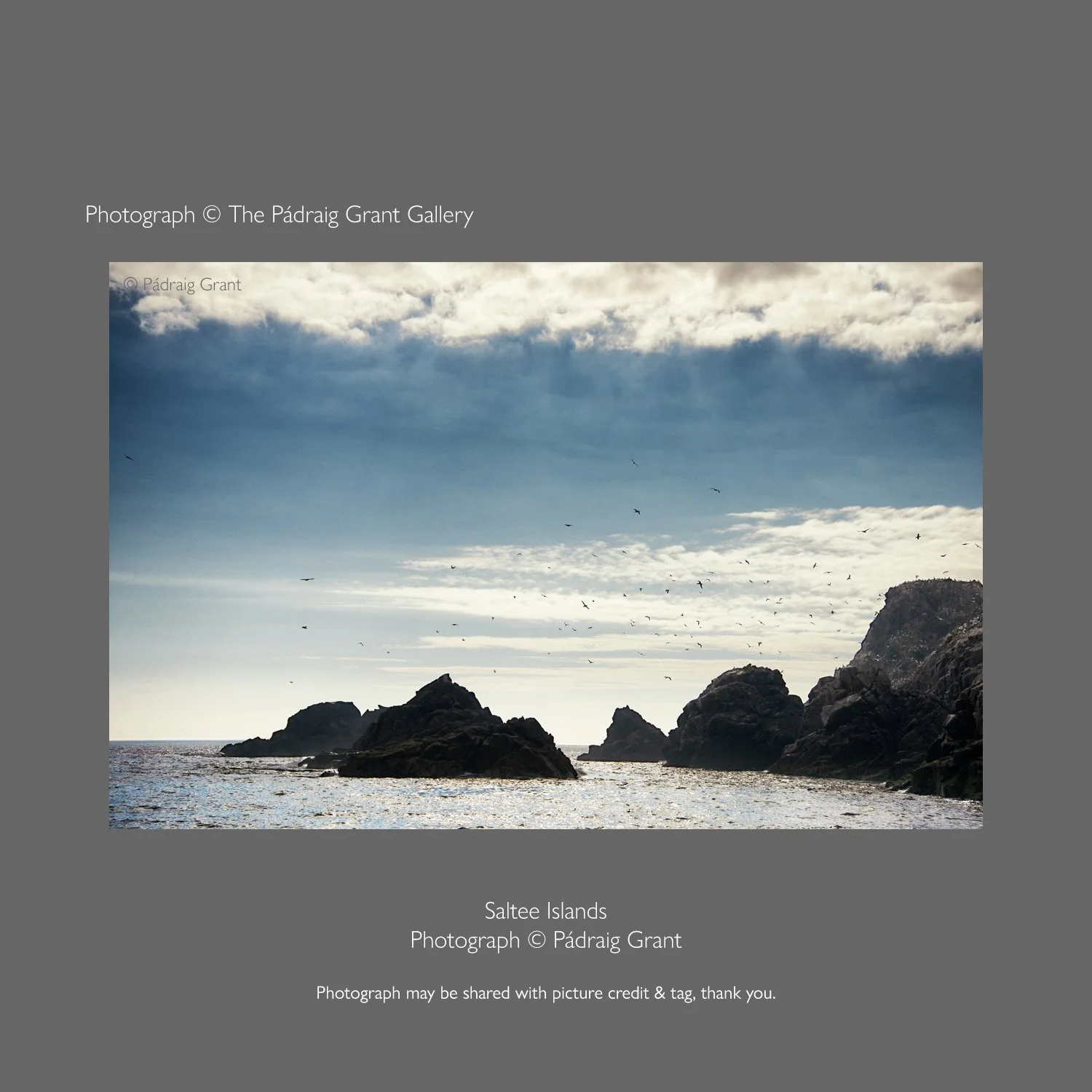 Saltee Islands 1