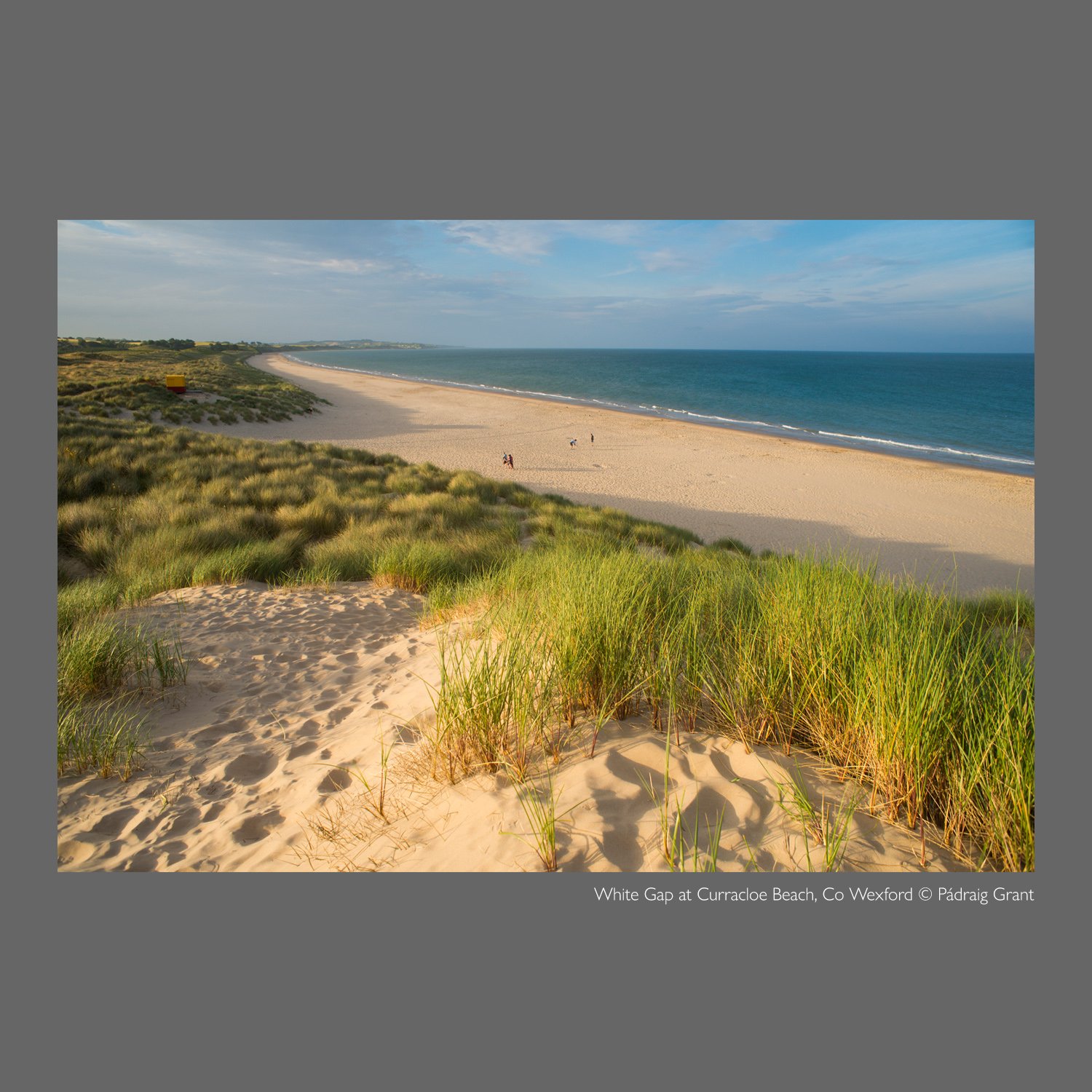 Looking north from Curracloe Beach