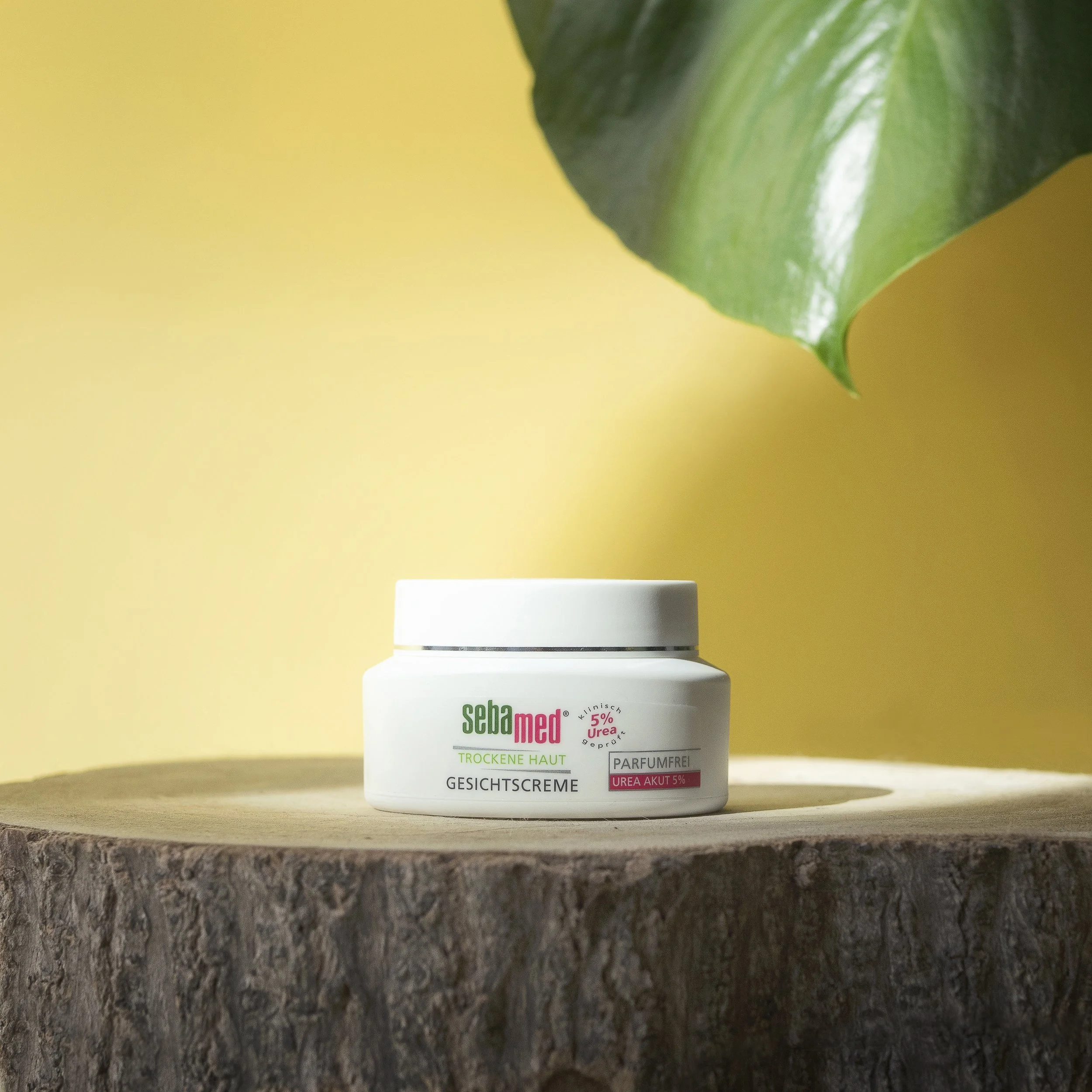 SebaMed_4_Yellow_5002.jpg