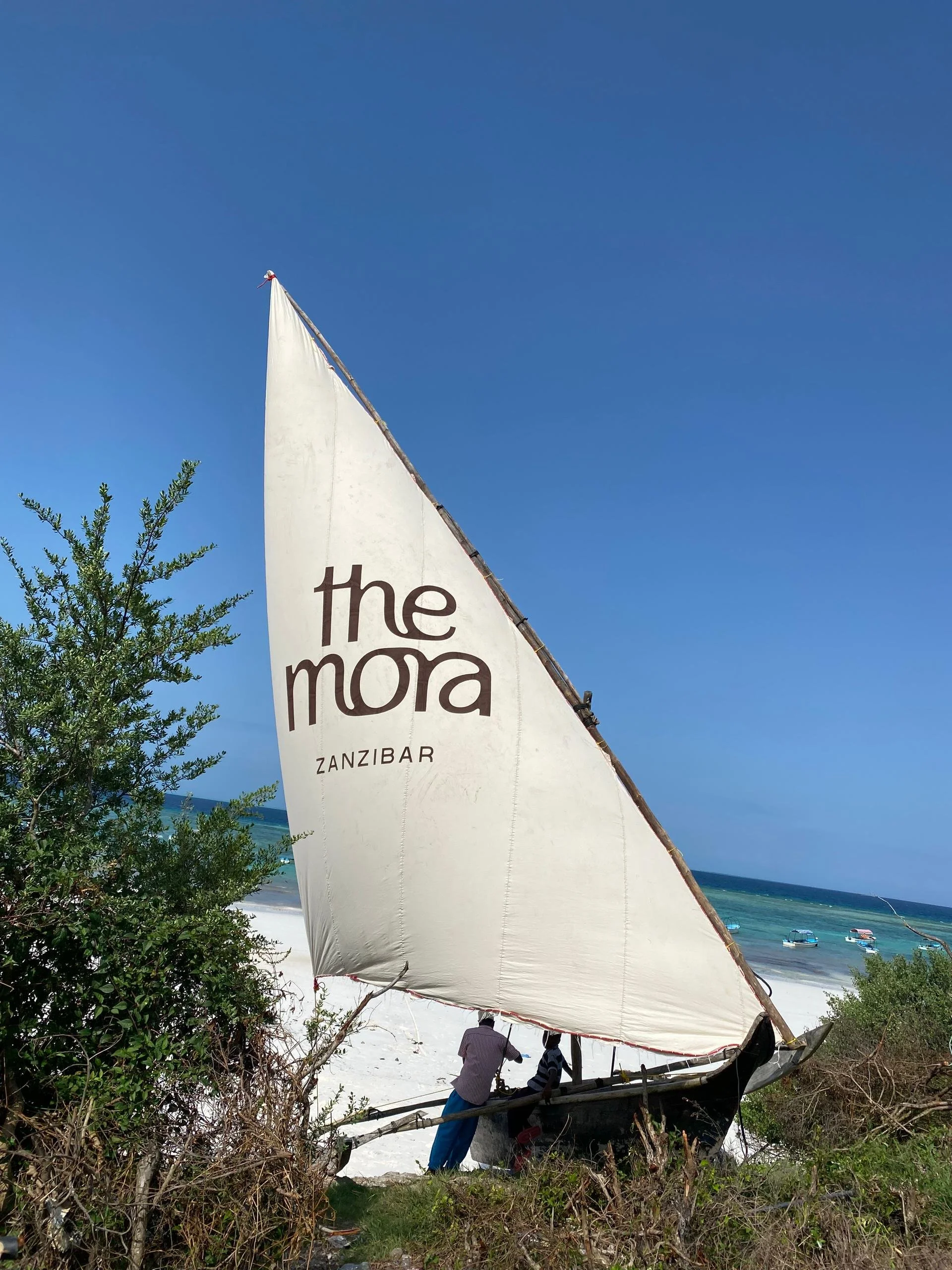 Company Branding on Sail