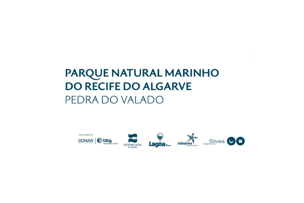Parque Natural Marinho do Recife do Algarve - Pedra do Valado