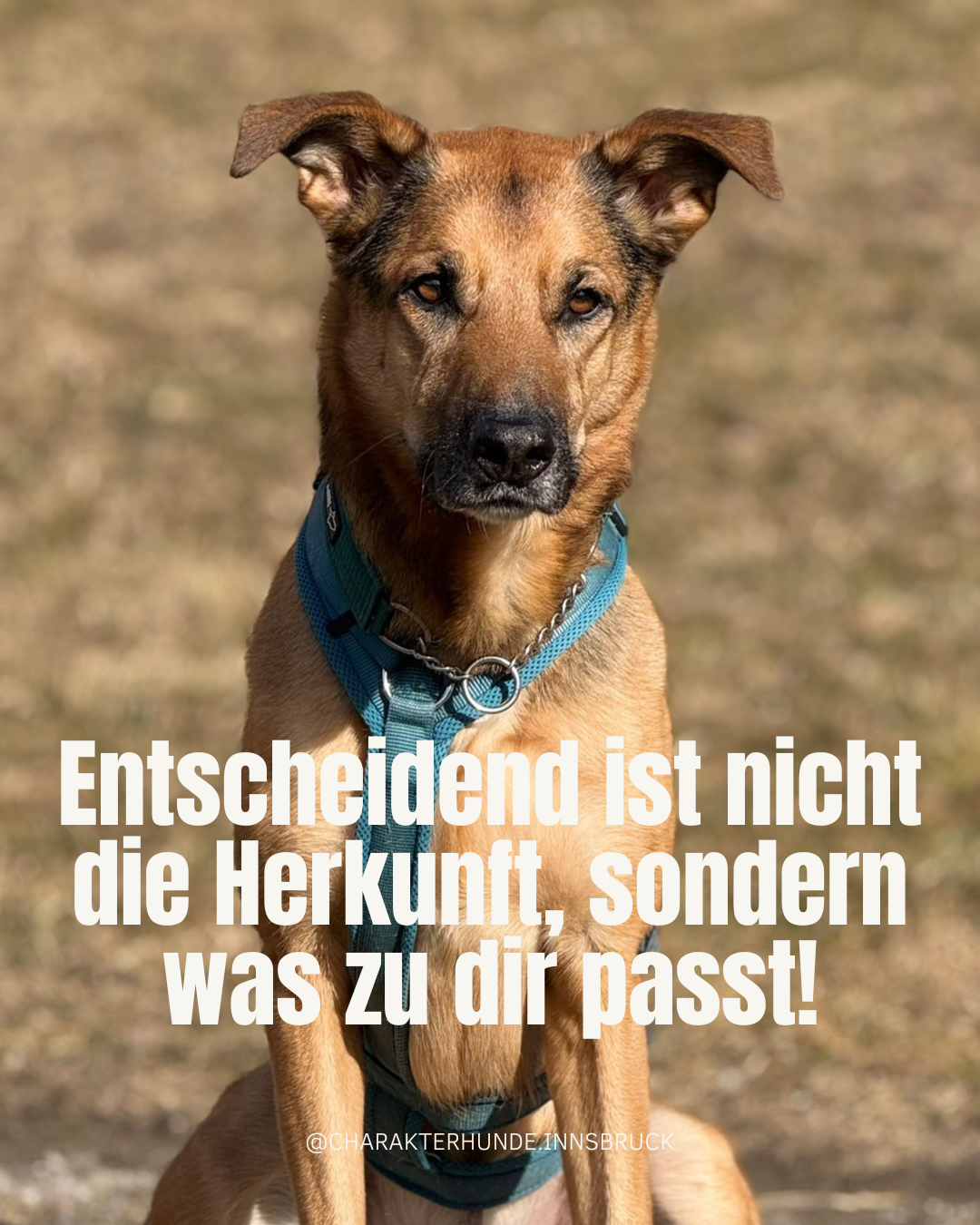 Entscheidend ist nicht die Herkunft, sondern was zu dir passt.