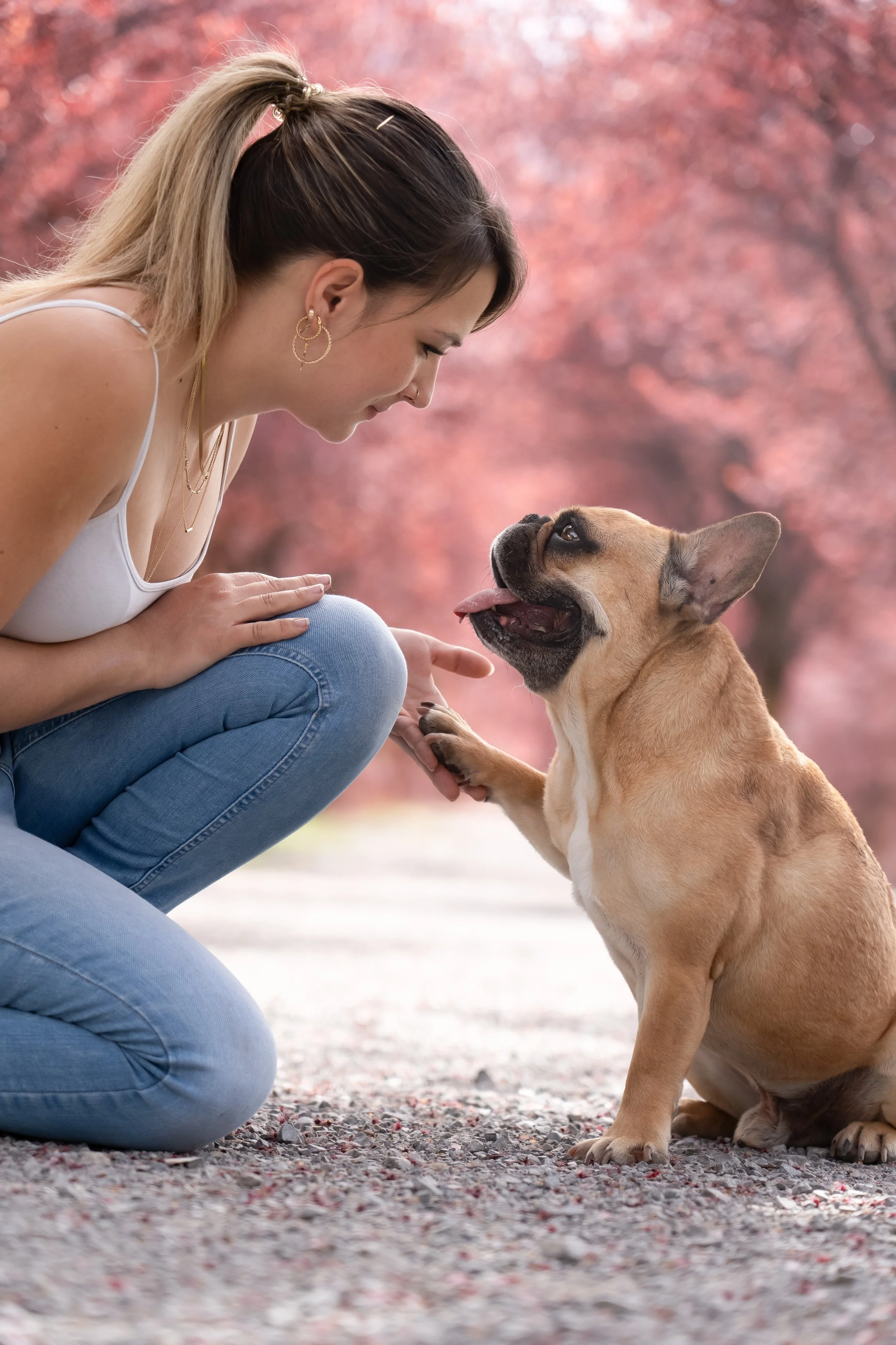 Eine Frau kniet im Freien und spielt mit einem französischen Bulldoggen. Im Hintergrund sind Bäume mit rosa Blättern, was auf den Frühling oder Herbst hinweisen könnte.