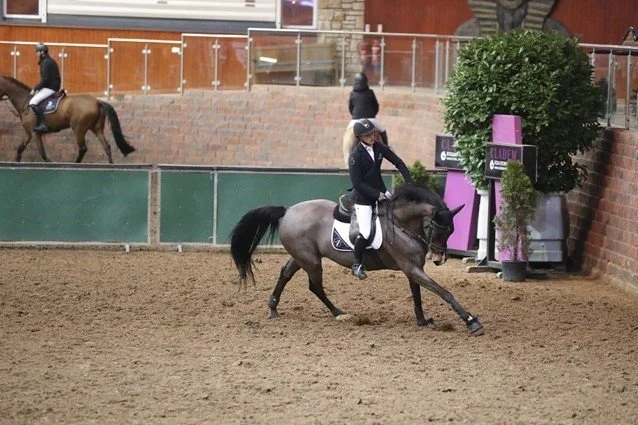 Show Jumper 