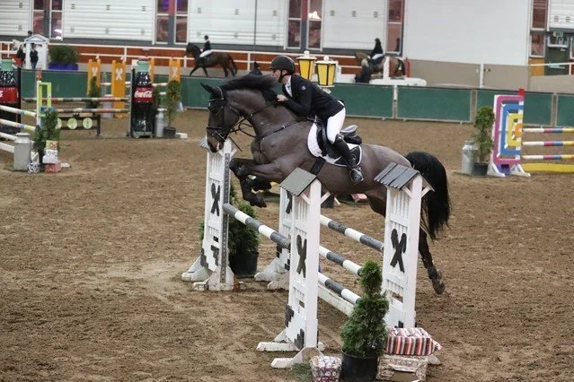 Show Jumper