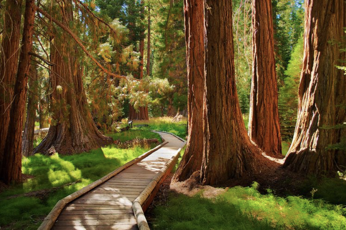12 Most Beautiful National Parks in the U.S.