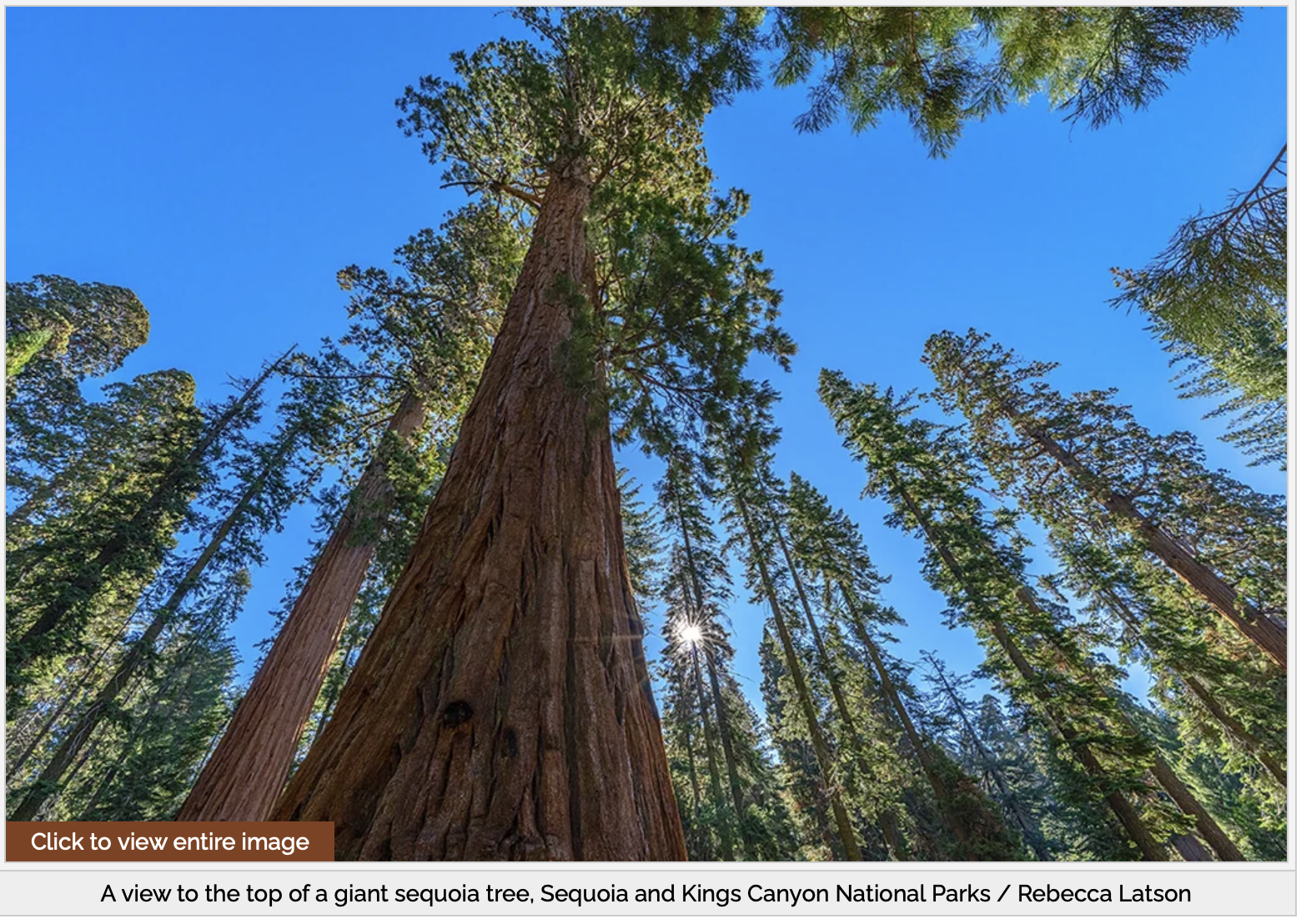 Photography In The National Parks: Sequoia And Kings Canyon