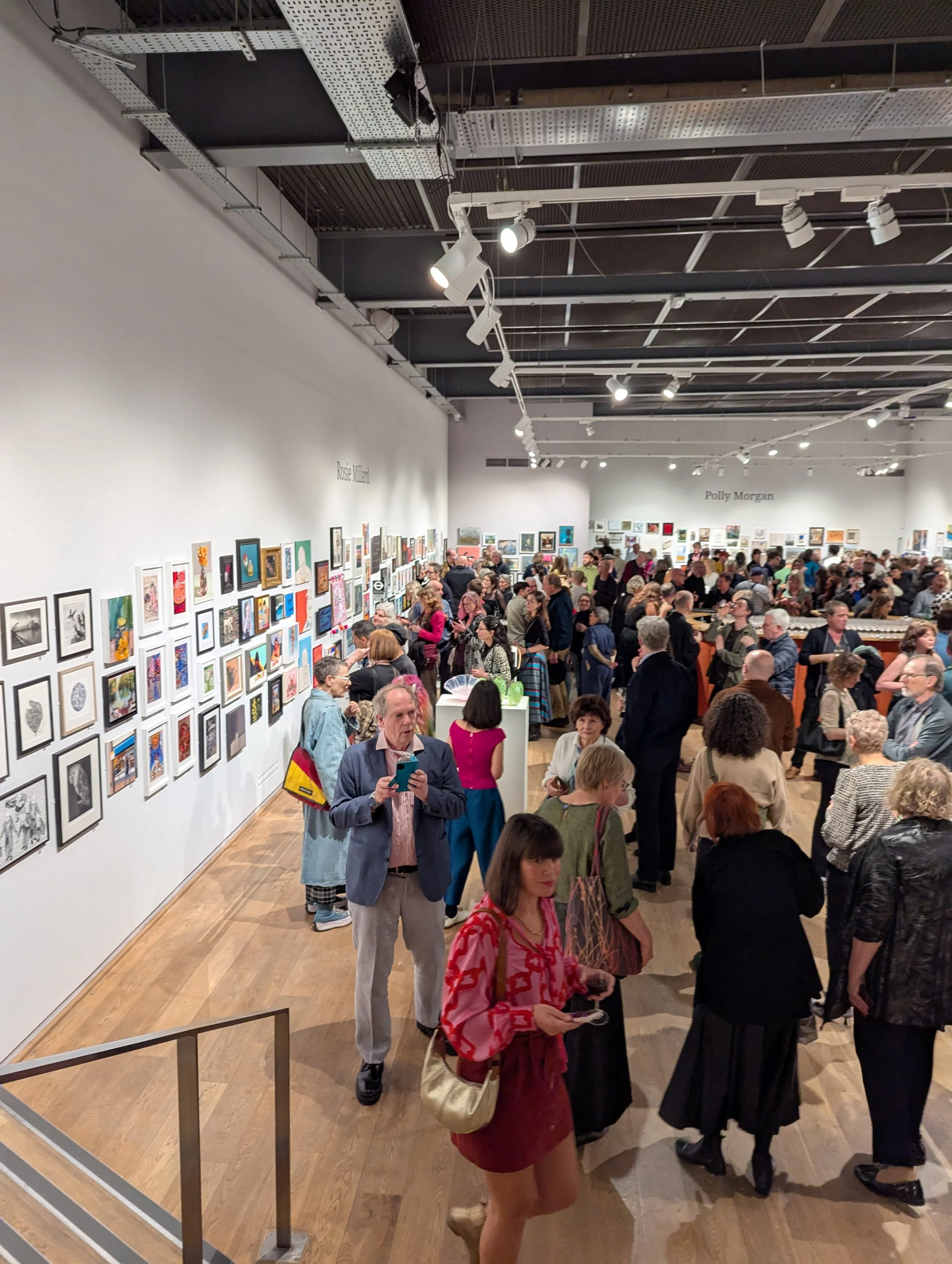 Discerning Eye Artists Private View