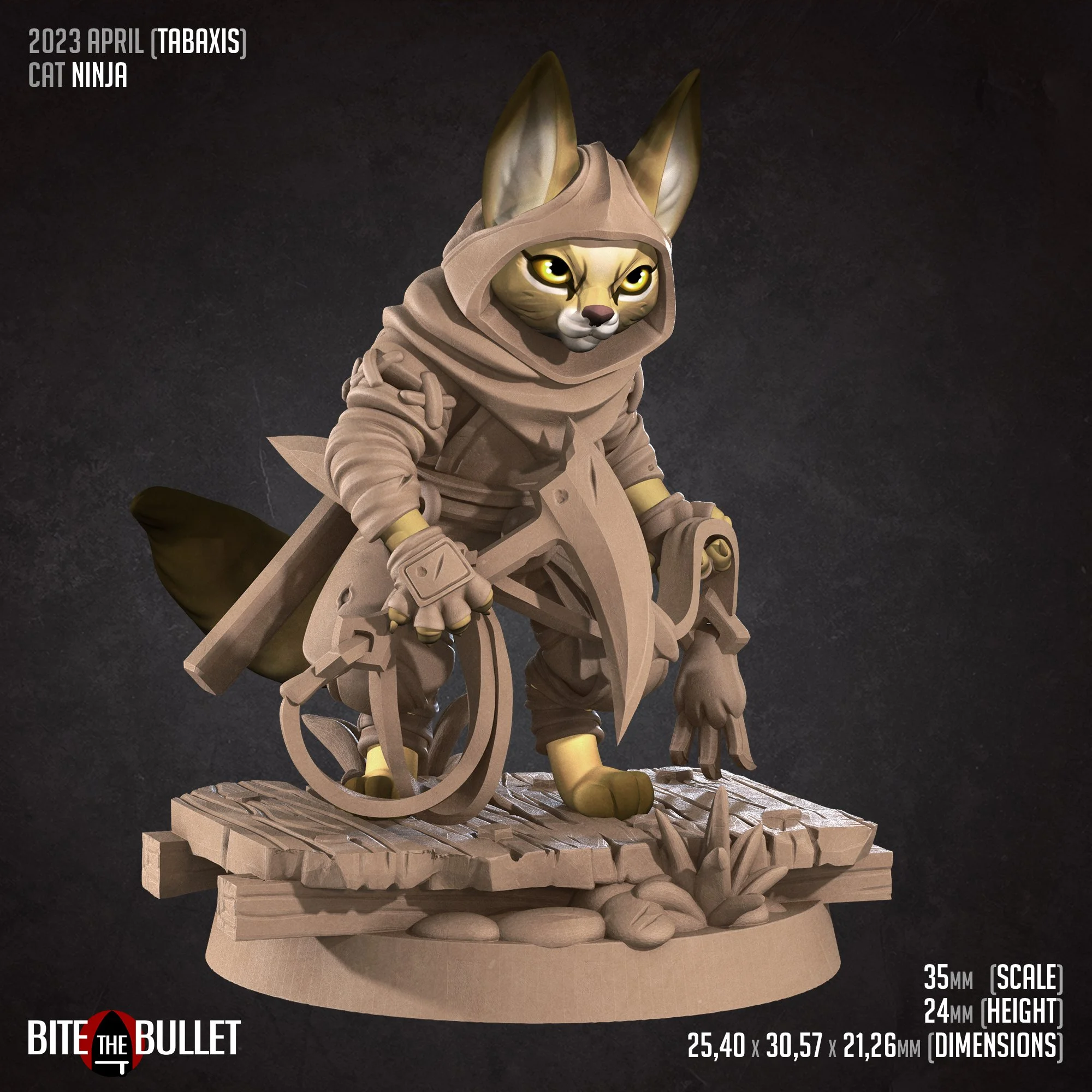 Cat_Ninja (D).jpg