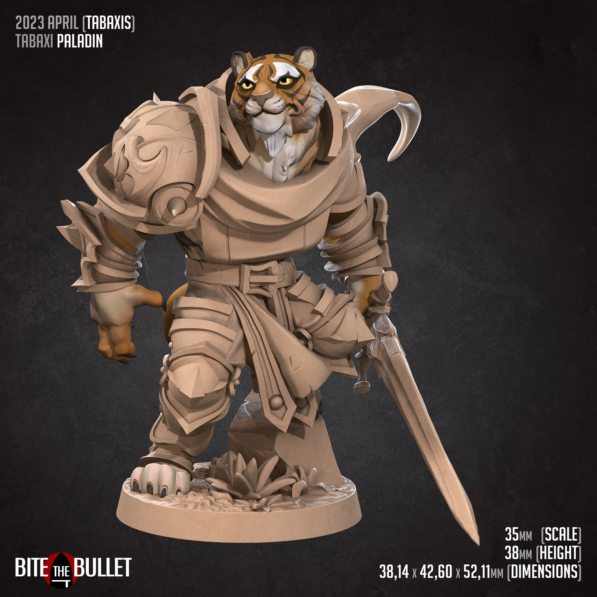 Paladin (D) (2).jpg
