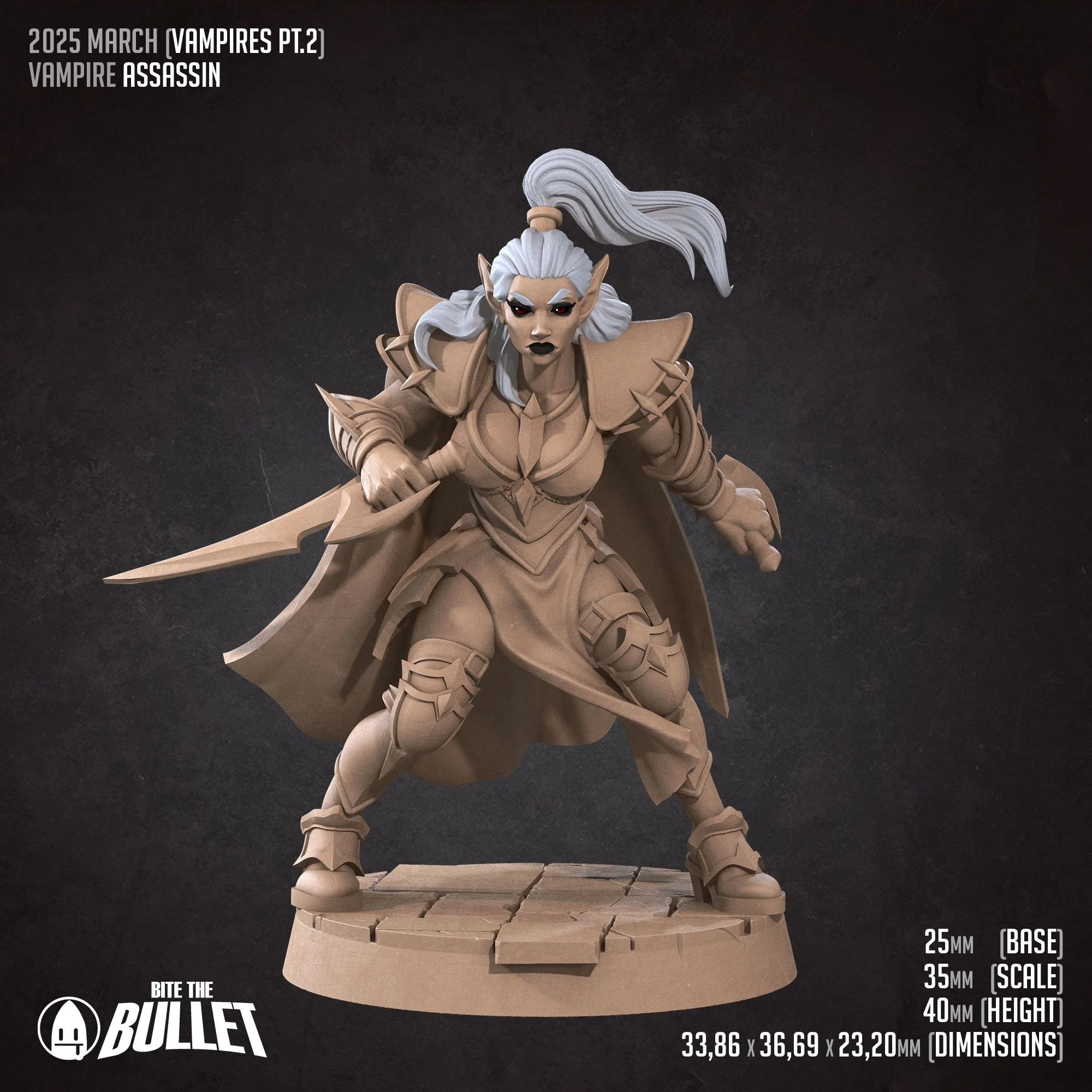 Assassin (D).jpg