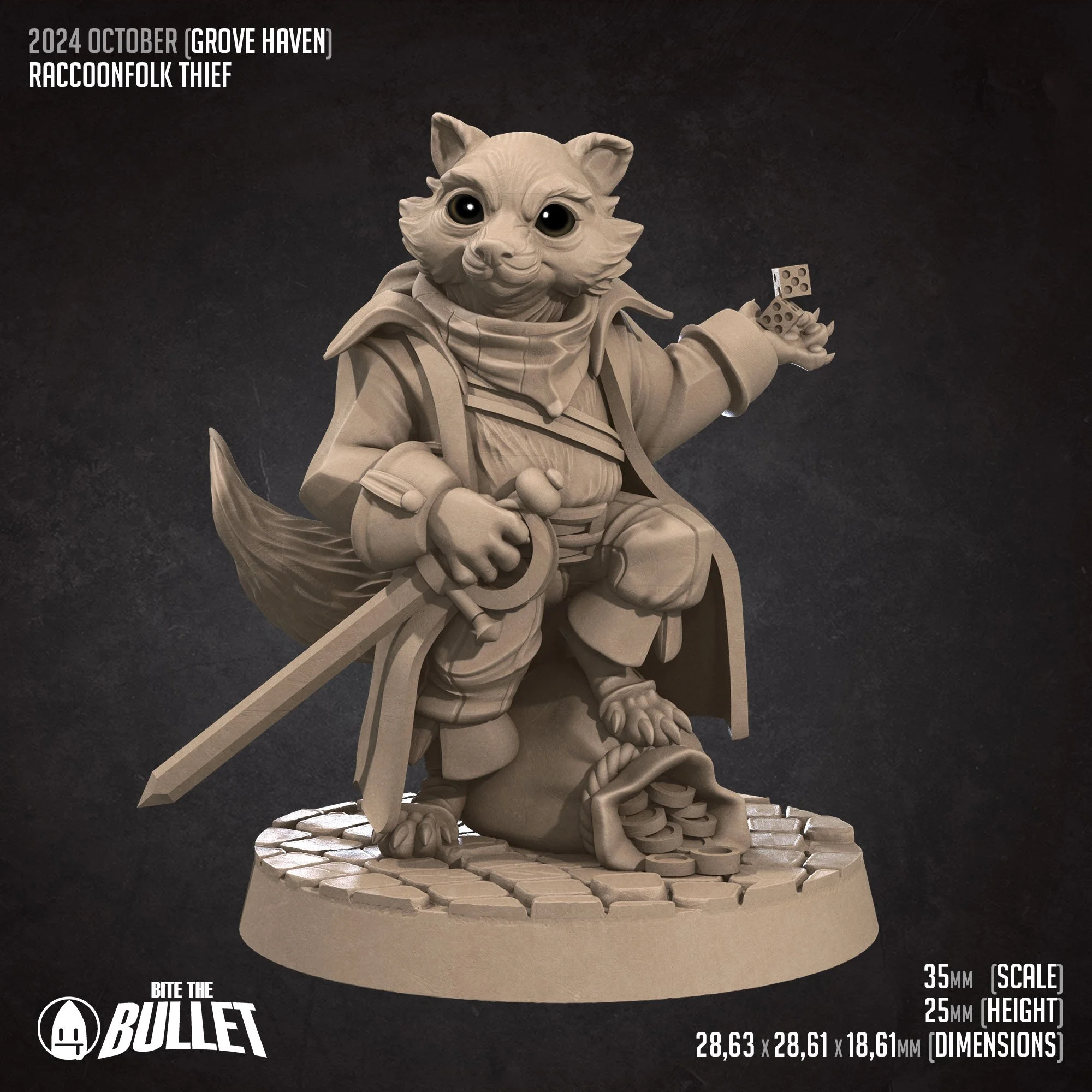 Raccoon_Thief (D).jpg