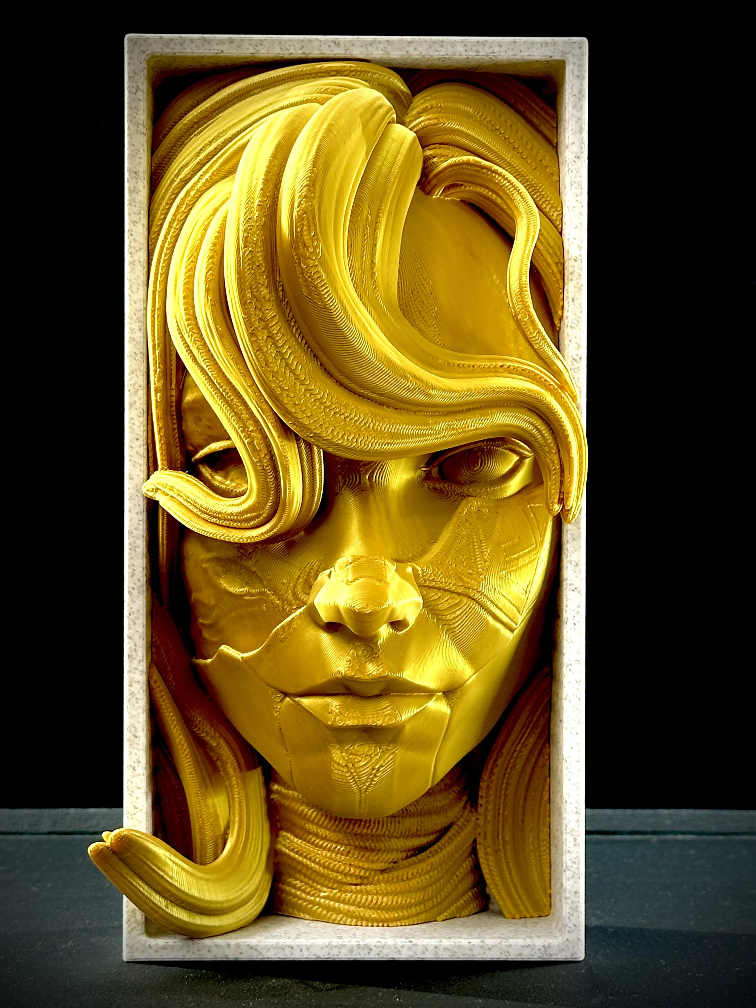 Sujetalibros Expedition 33