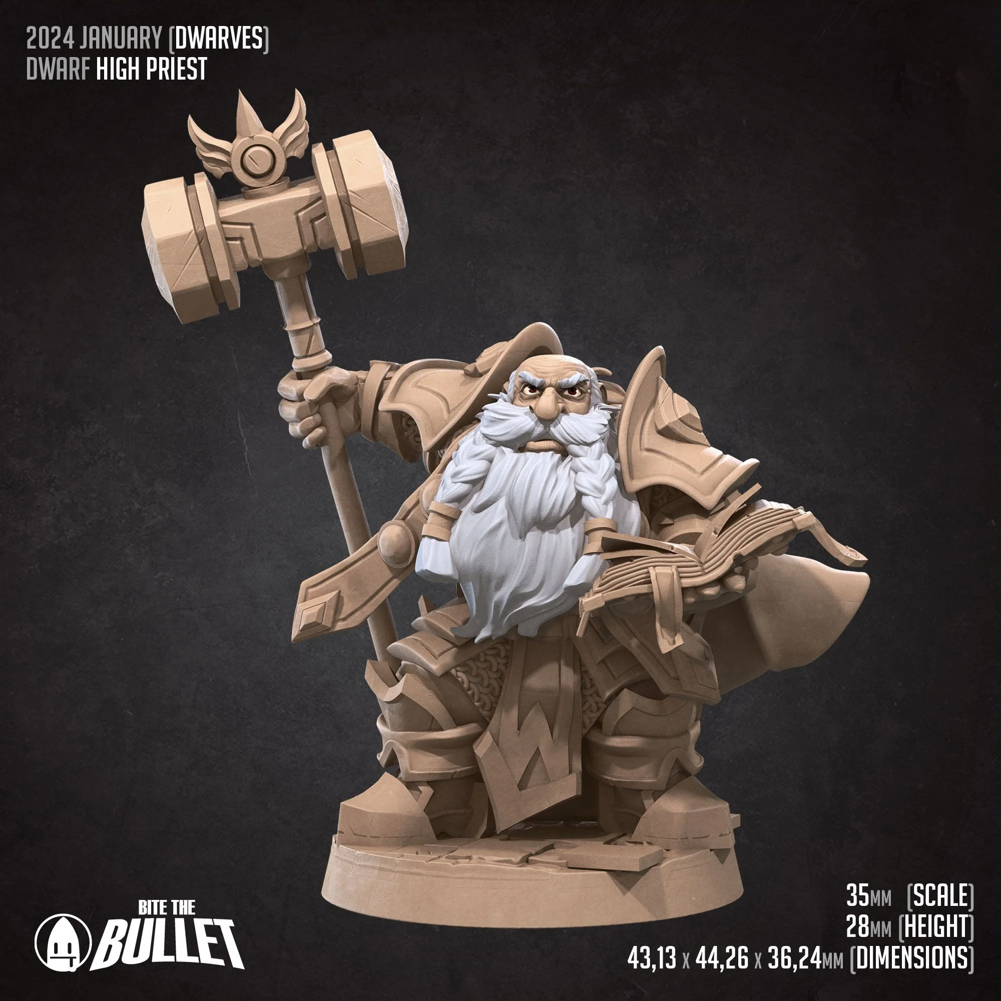 Dwarf_HighPriest (D).jpg
