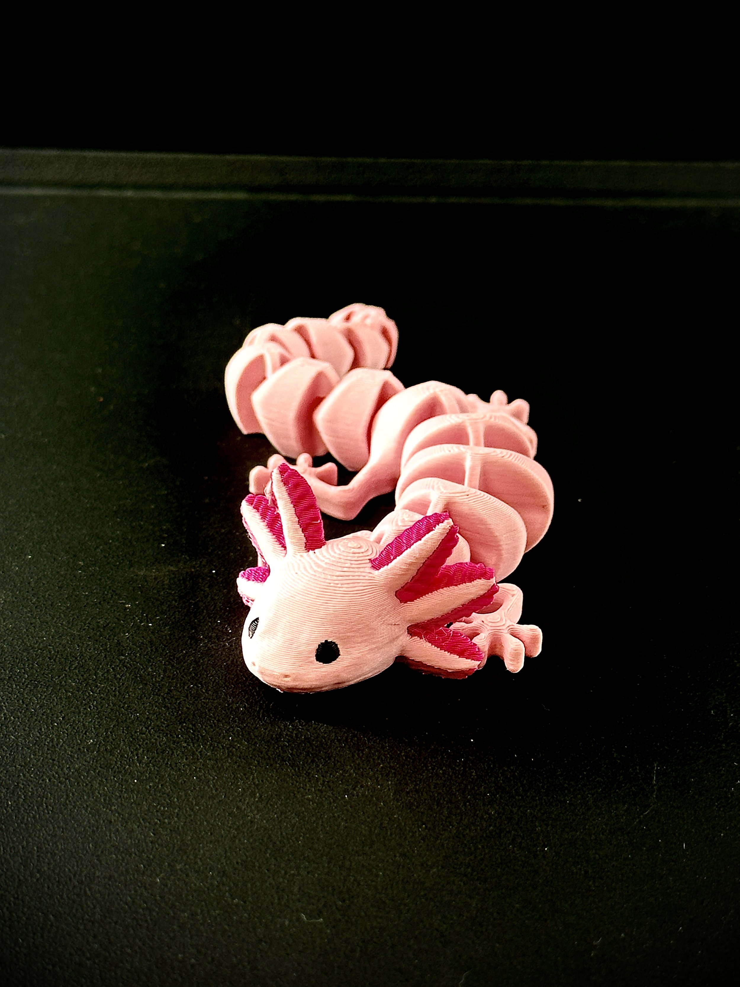 Impresión en filamento multicolor flexible.