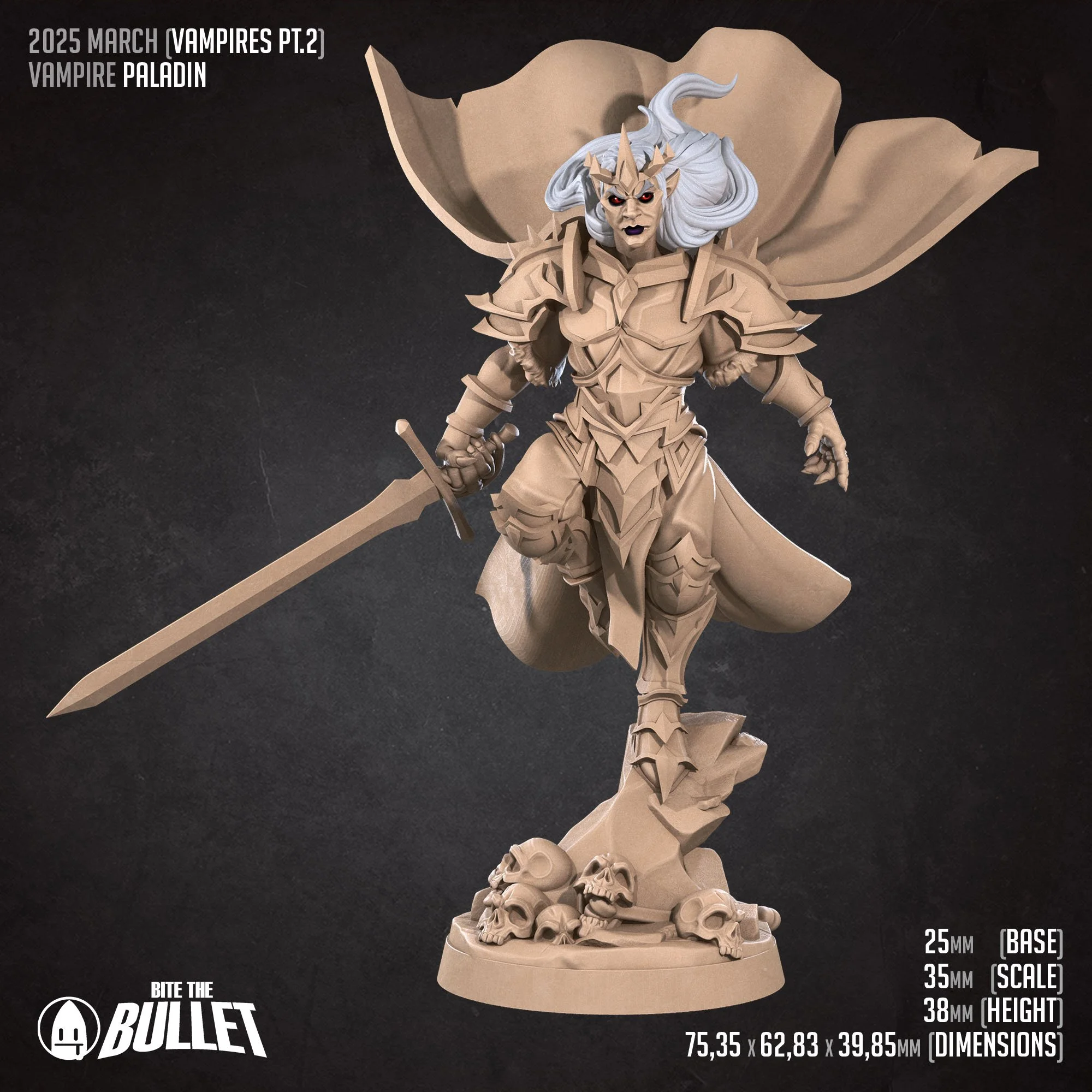 Paladin (D) (1).jpg