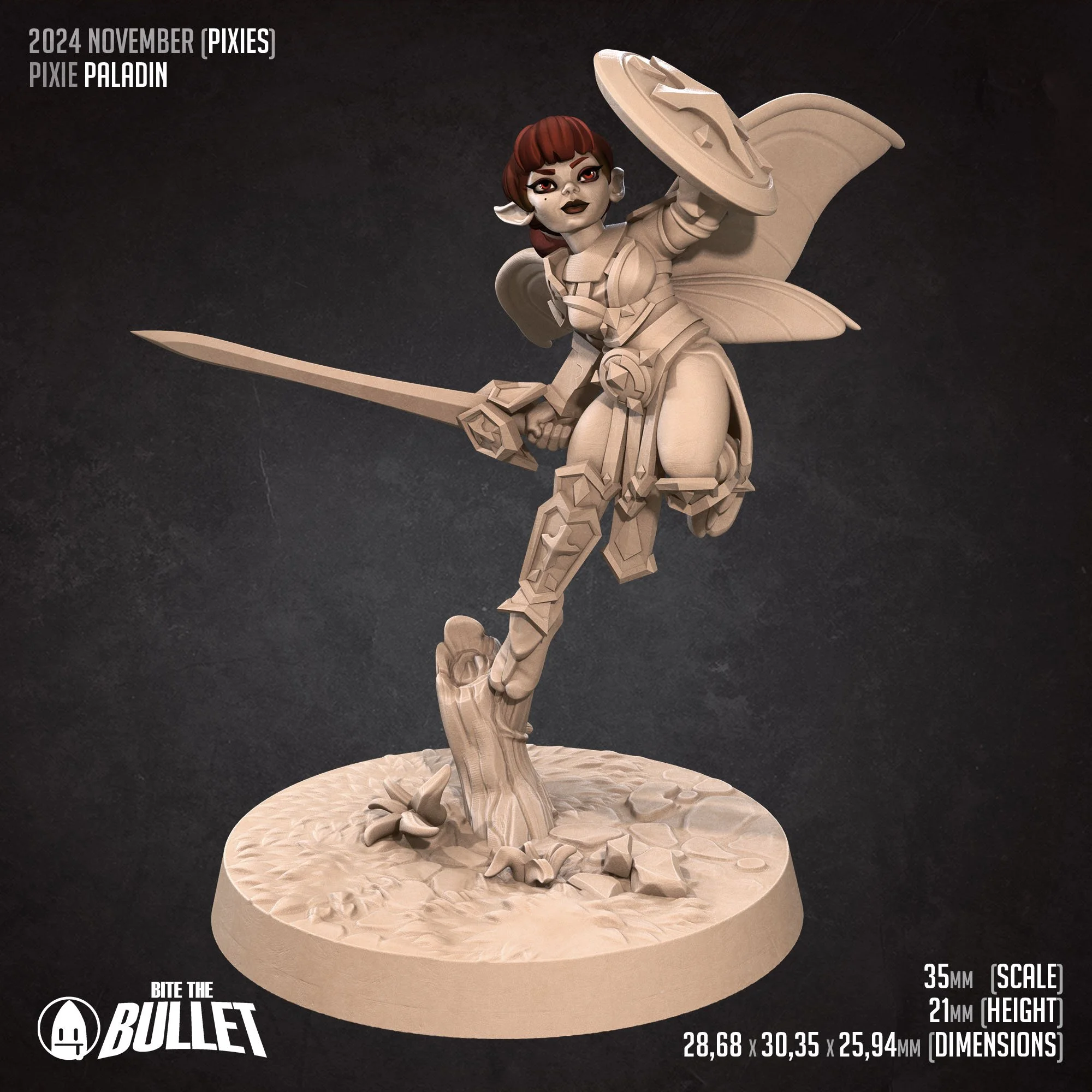 Paladin (D).jpg