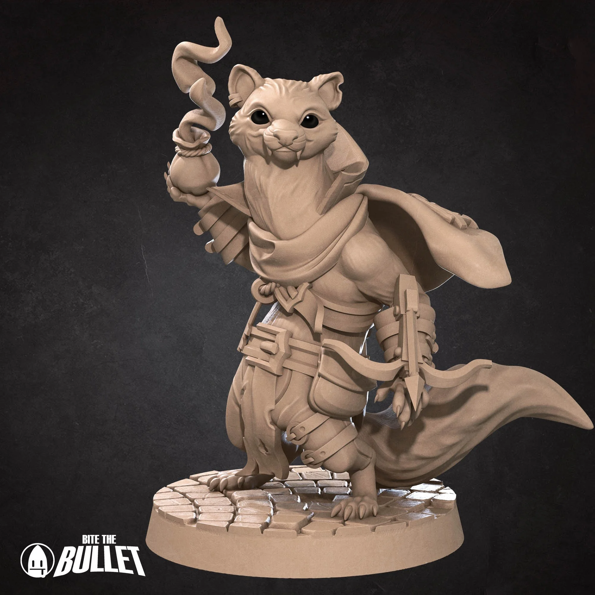 Ferret_RogueC (1B).jpg