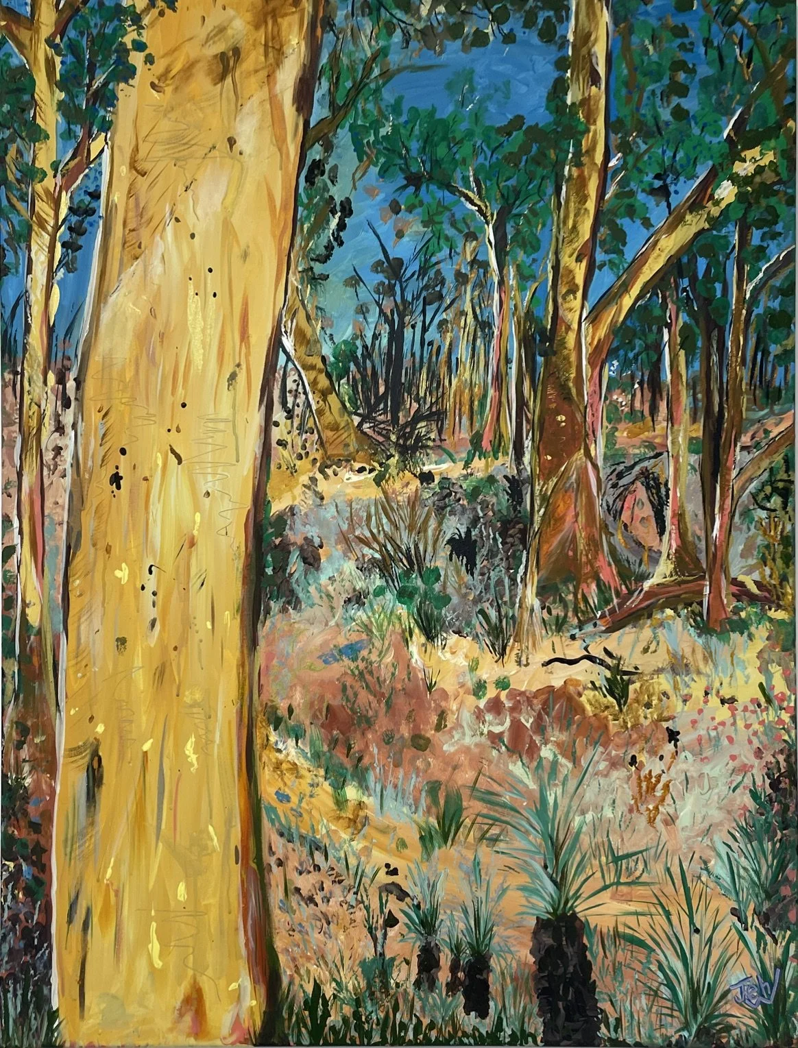  Bright Barks from Scribbly Gums ,
John Ward 
Acrylic, 
x cm, framed  
Price: $580