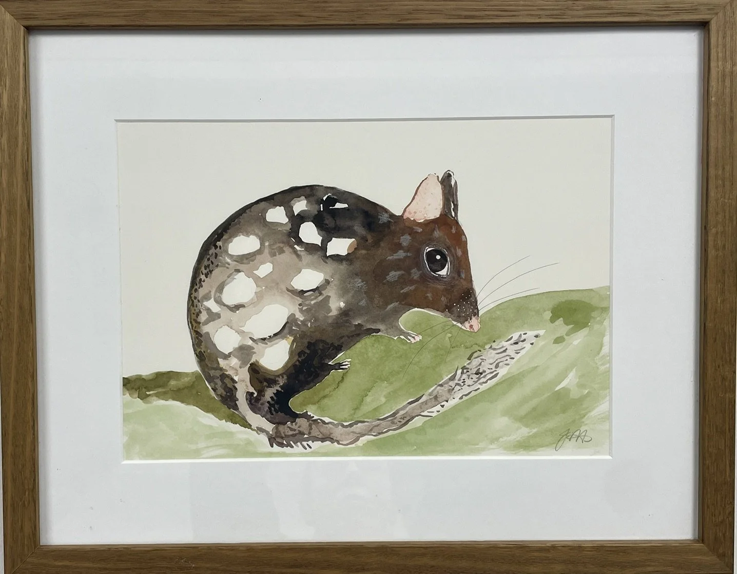  The Greater Bilby ,
Julie McSpedden 
Gouache 
x cm, framed  
Price: $200