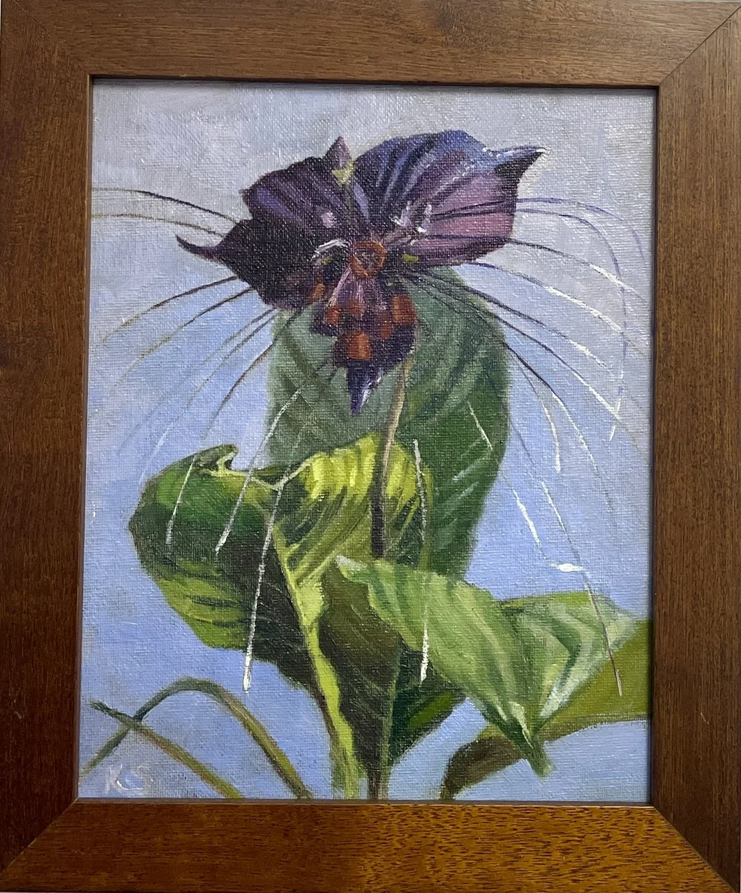  Bat Flower ,
Katia Strounina 
Oils, 
x cm, framed  
Price: $75