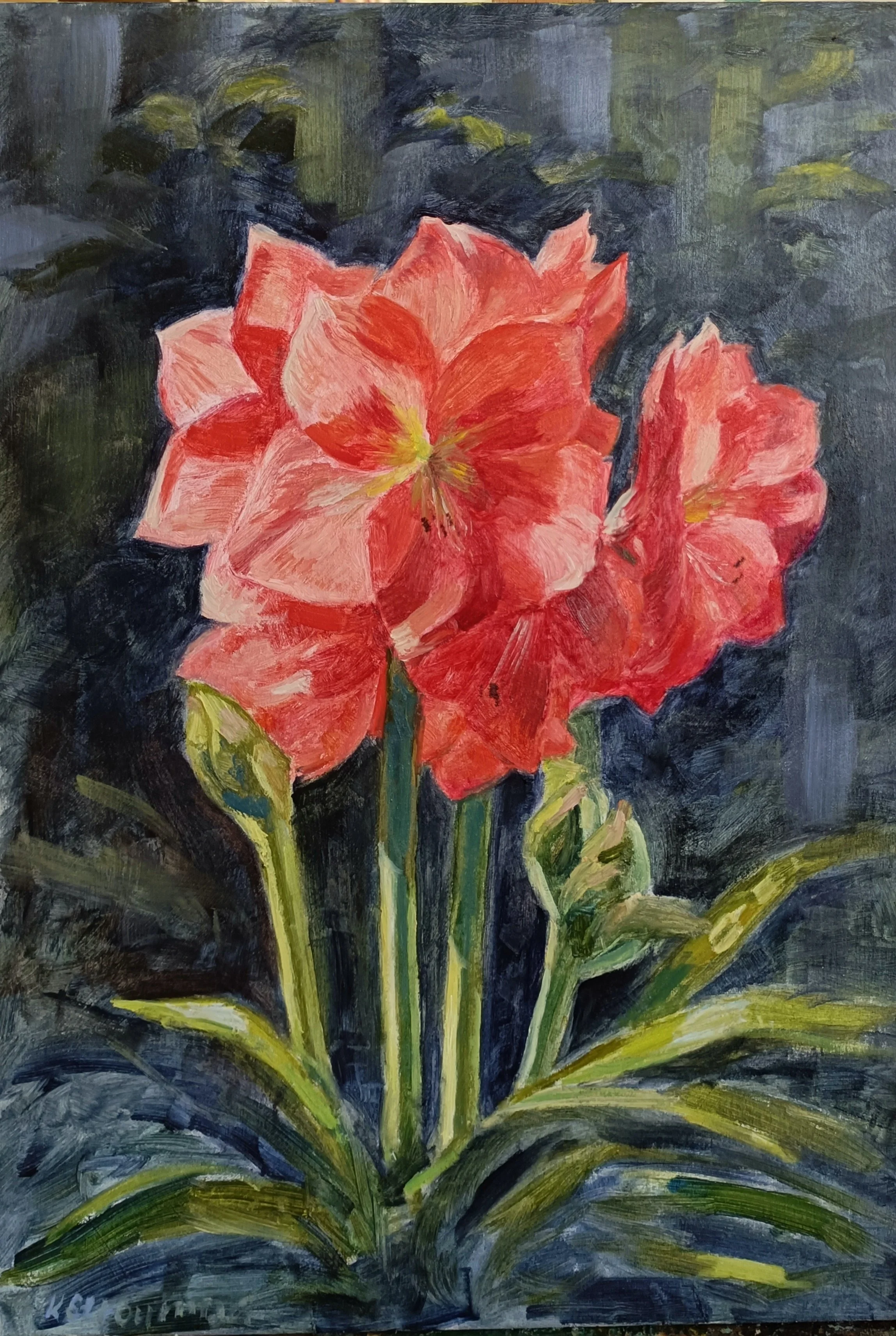  Amaryllis ,
Katia Strounina 
Oil, 
40x30 cm 
Price: $270