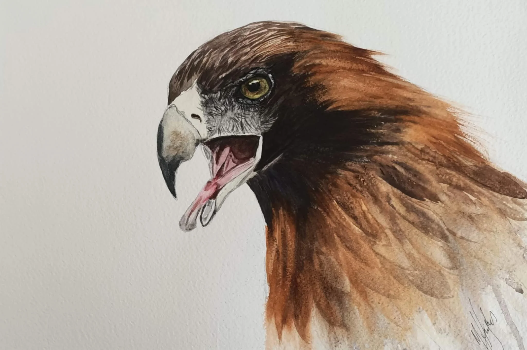  I'm Talking to You ,
Marion Hughes 
Waterolour, 45x56 cm 
Price: $350