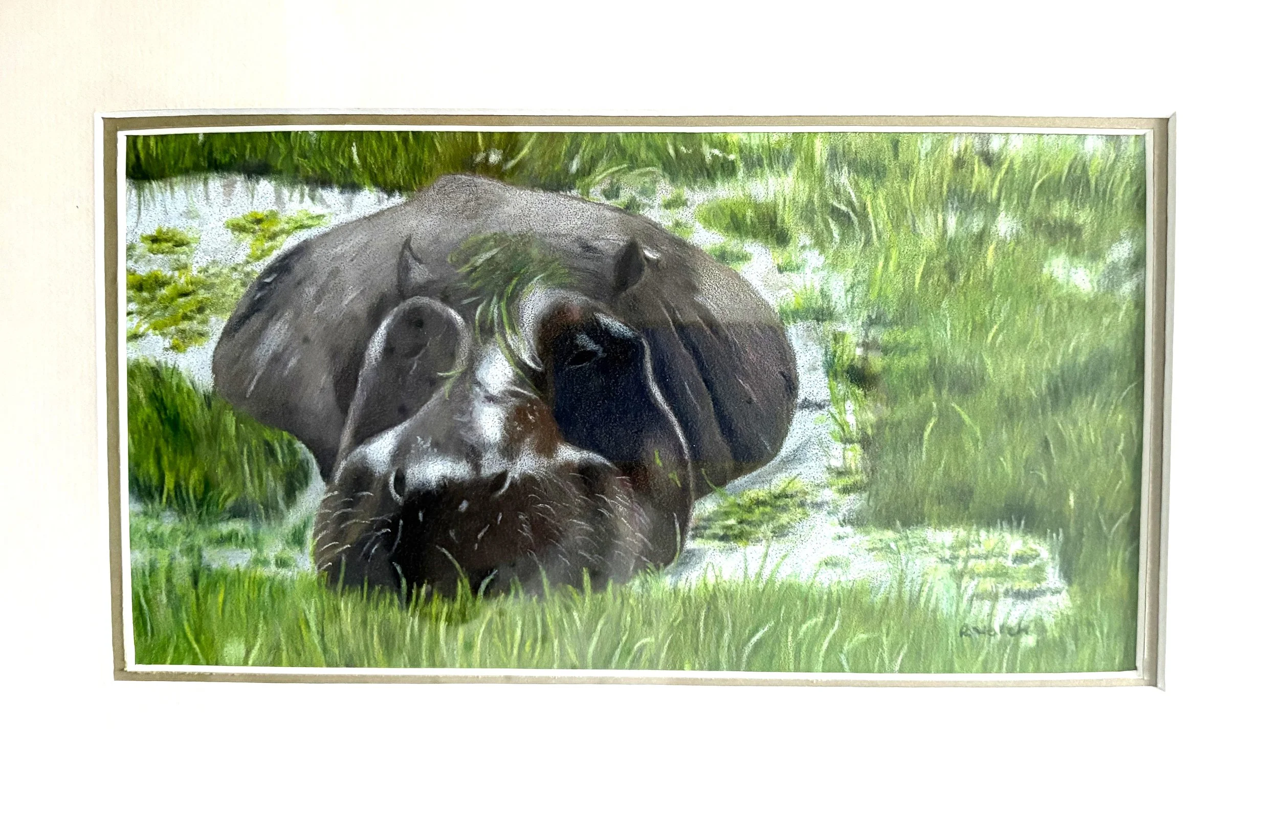 Ruth Welch - Going Home, Coloured Pencil $75.jpeg