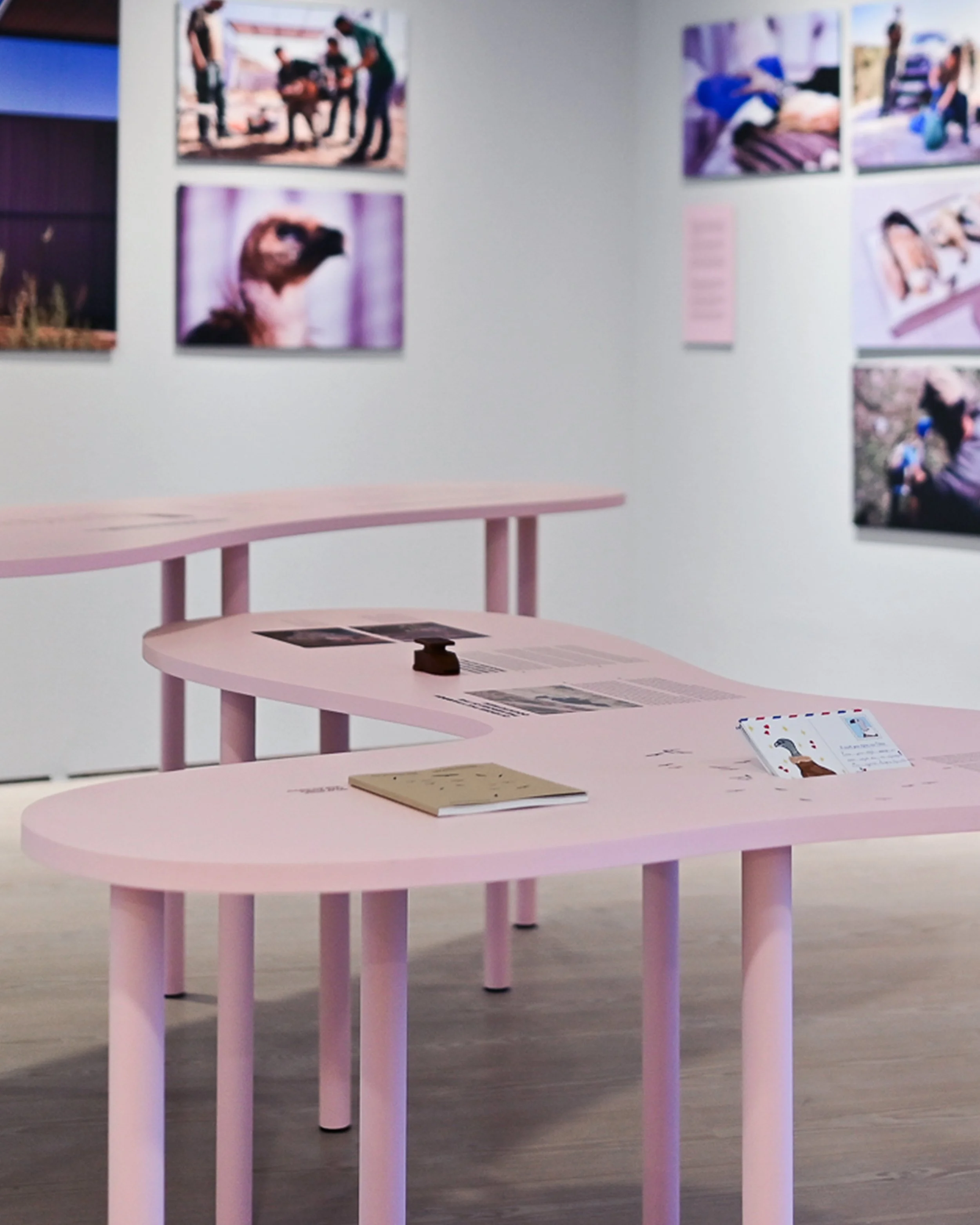 DSC_8642 - crop.jpeg