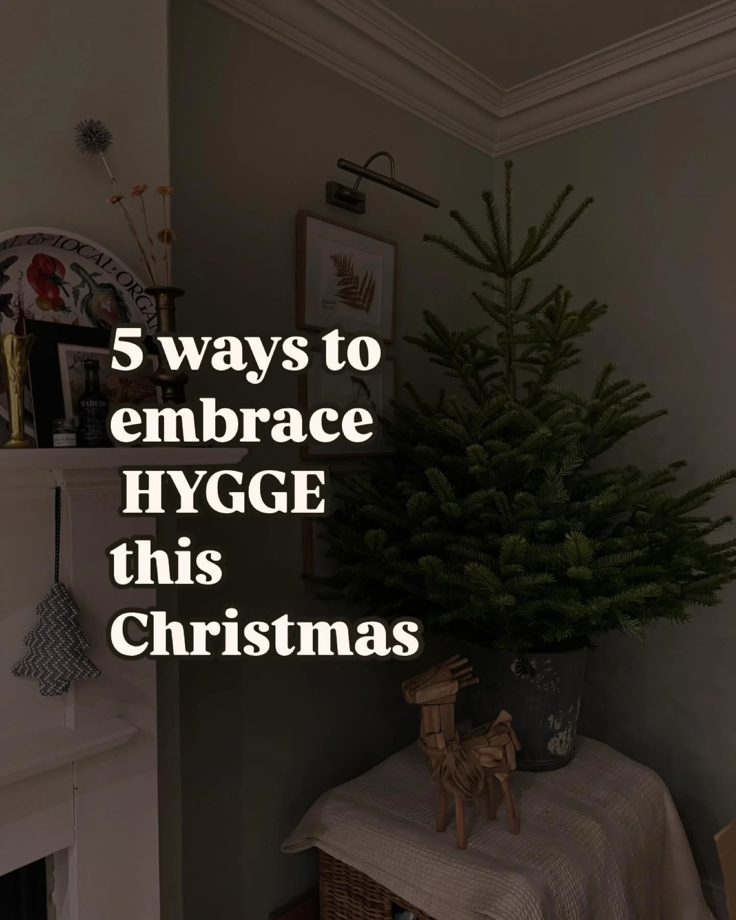 Hello December 🌲🪴🌱 

#christmas #christmasdecor #hyggechristmas #slowliving #naturalmaterials #nature #bringtheoutdoorsin